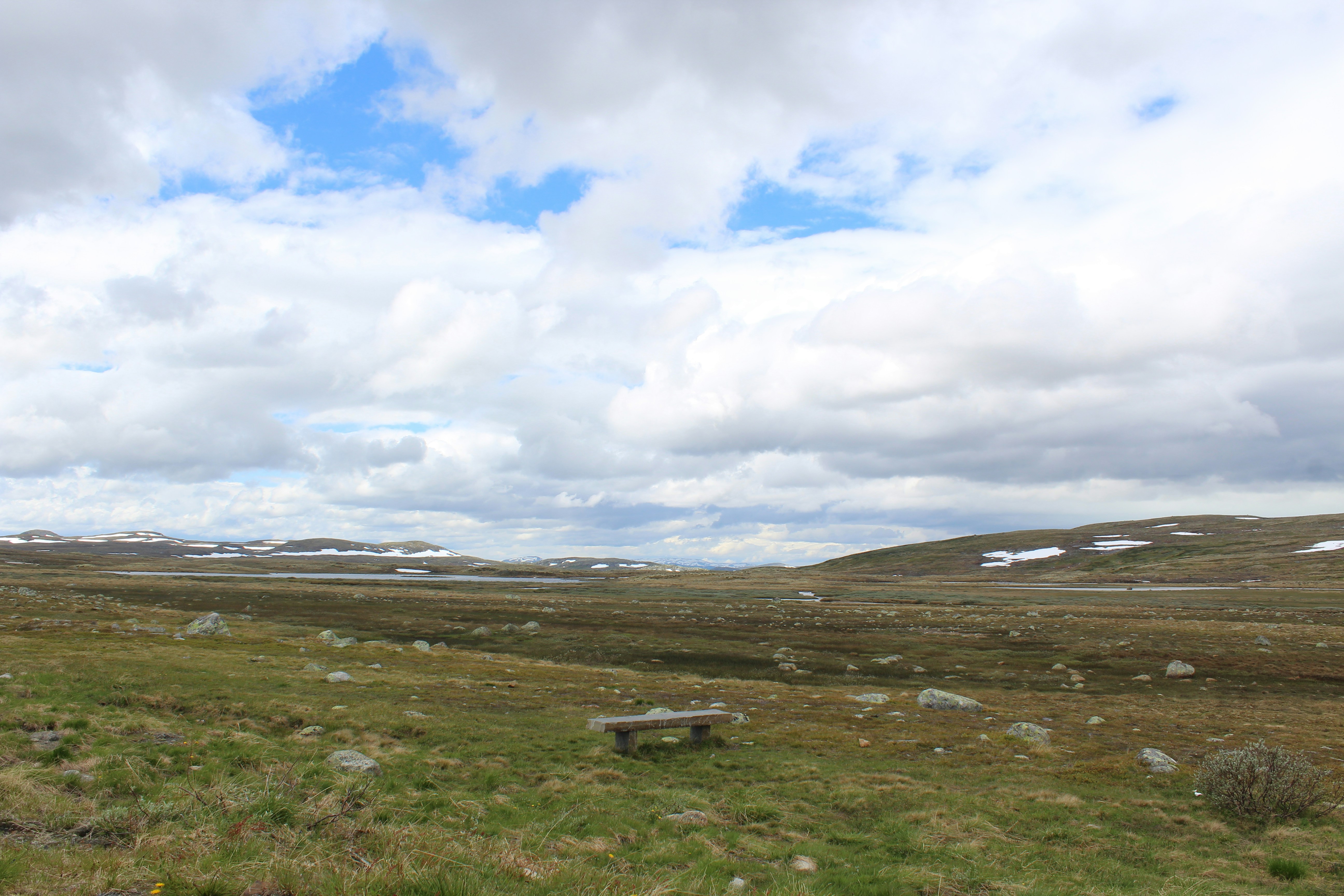 Photo by alys_skowron