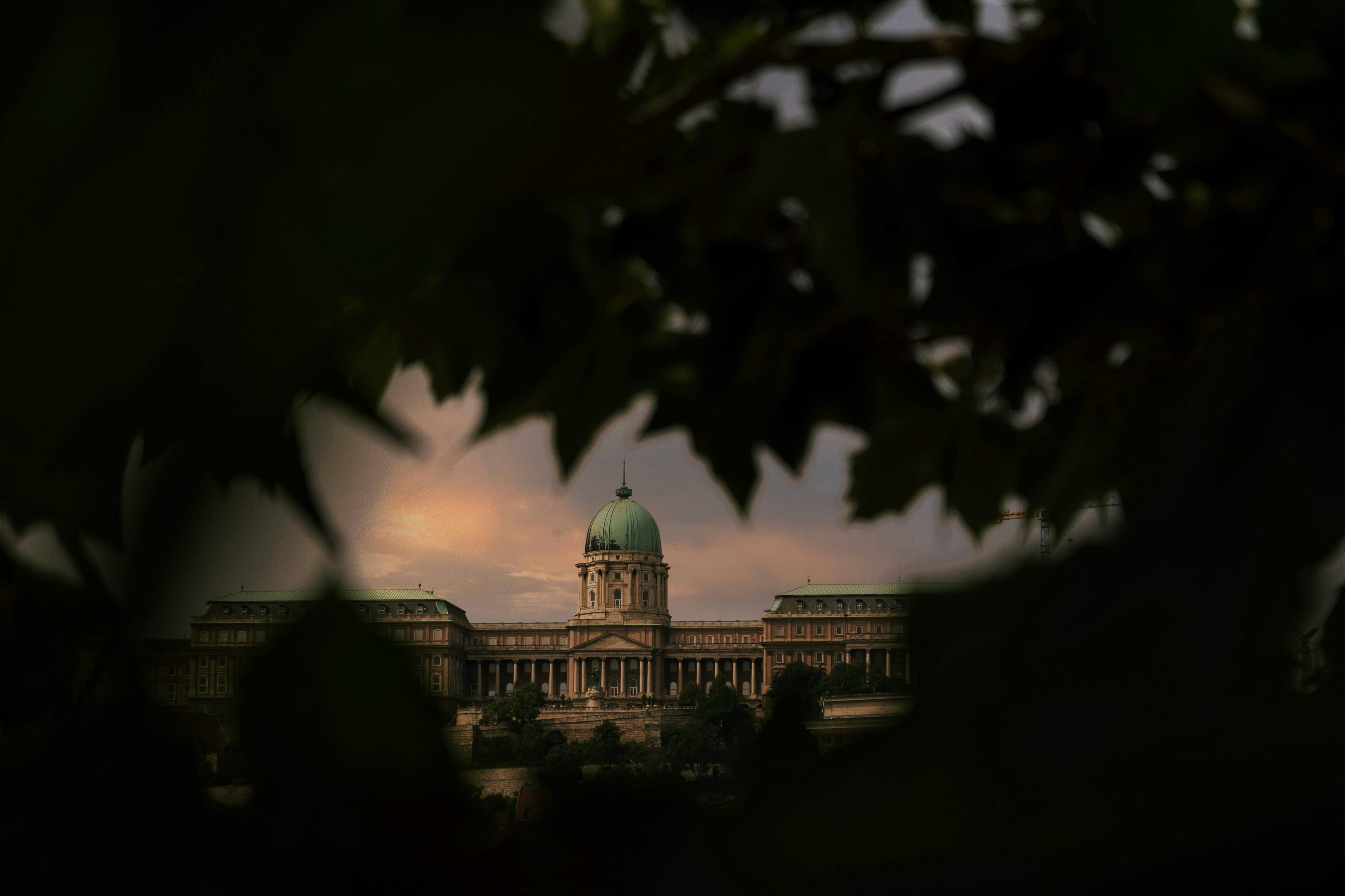 Photo by rushilologist