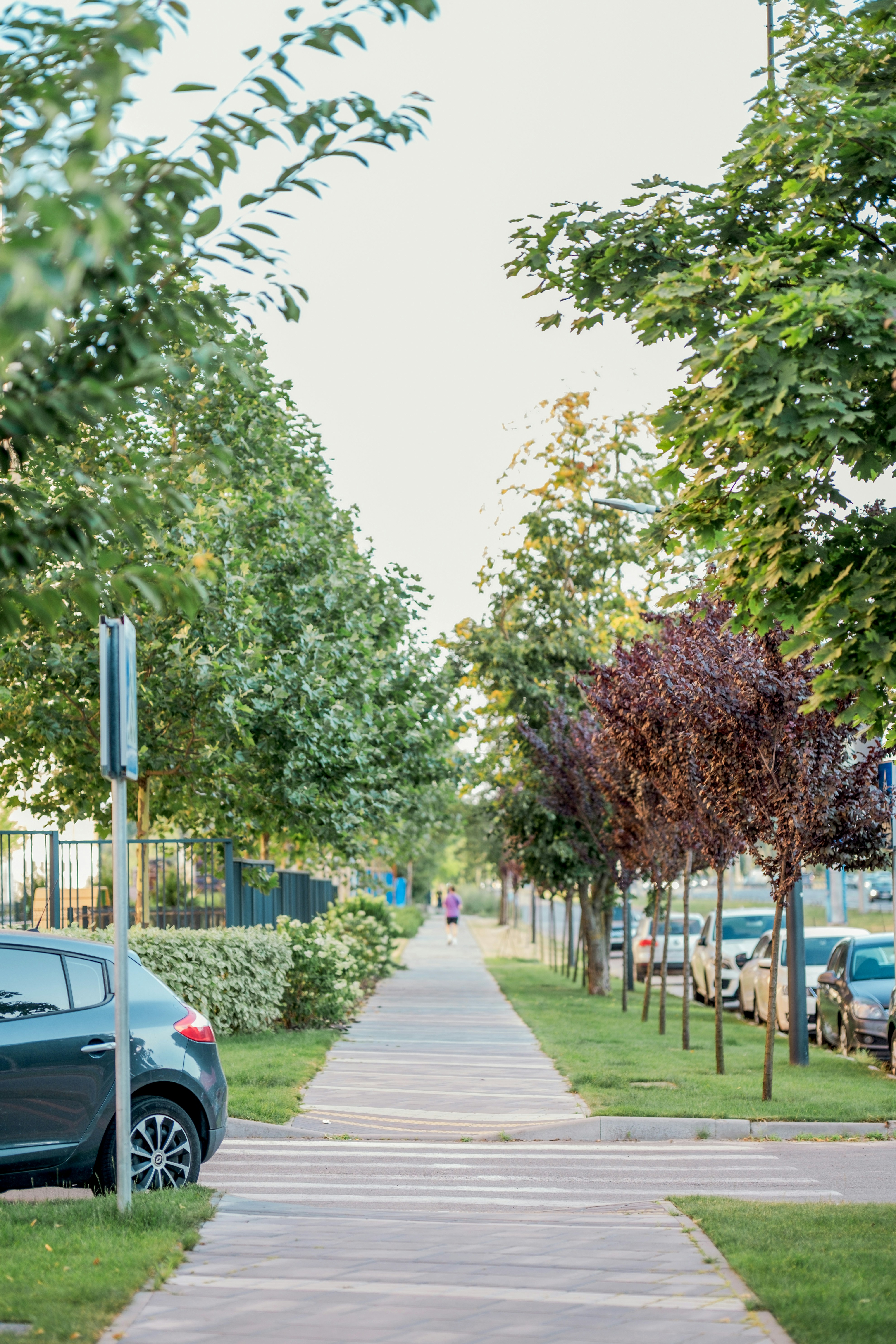 Photo by eugenivy_now