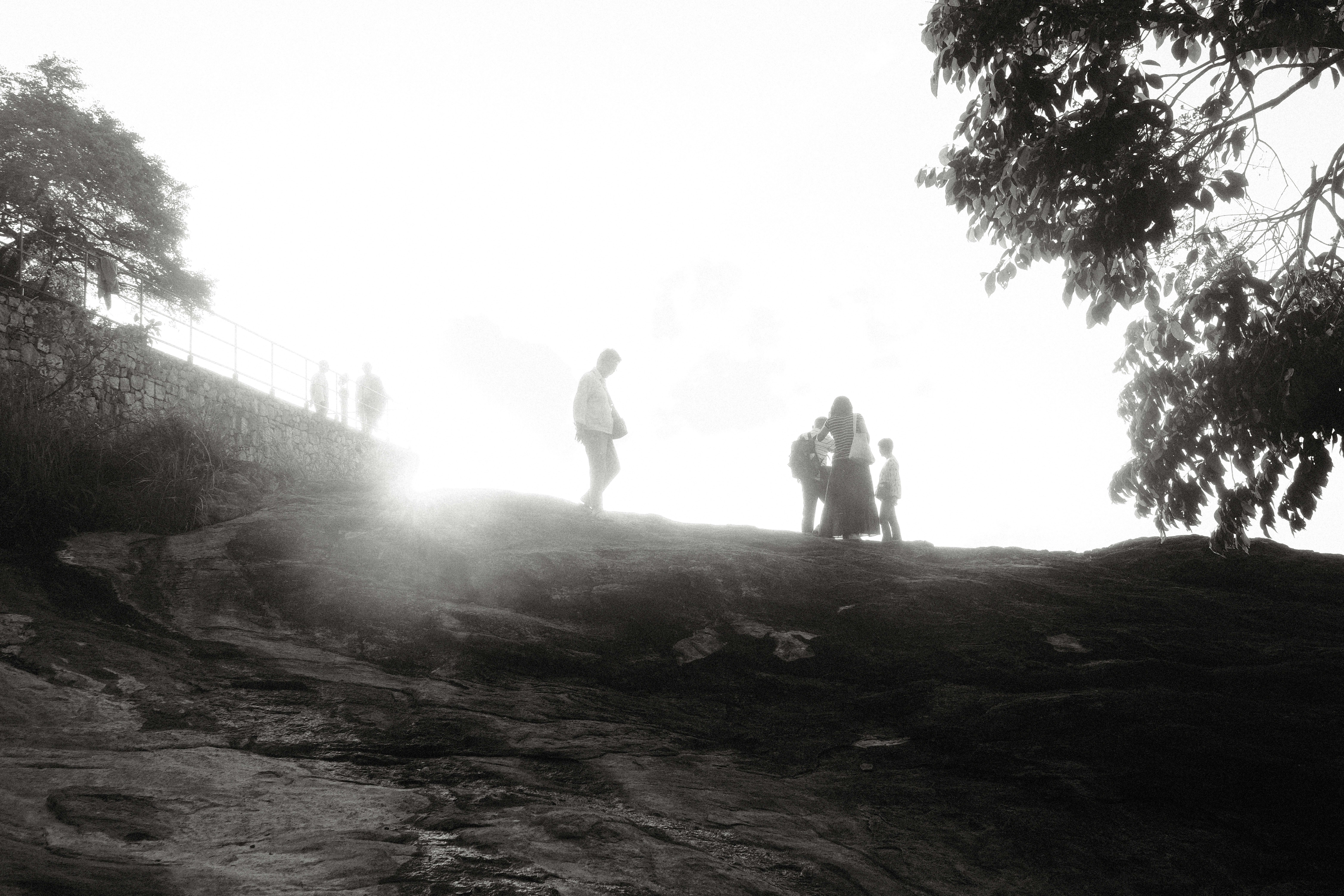 Scouts teamwork on hilltop