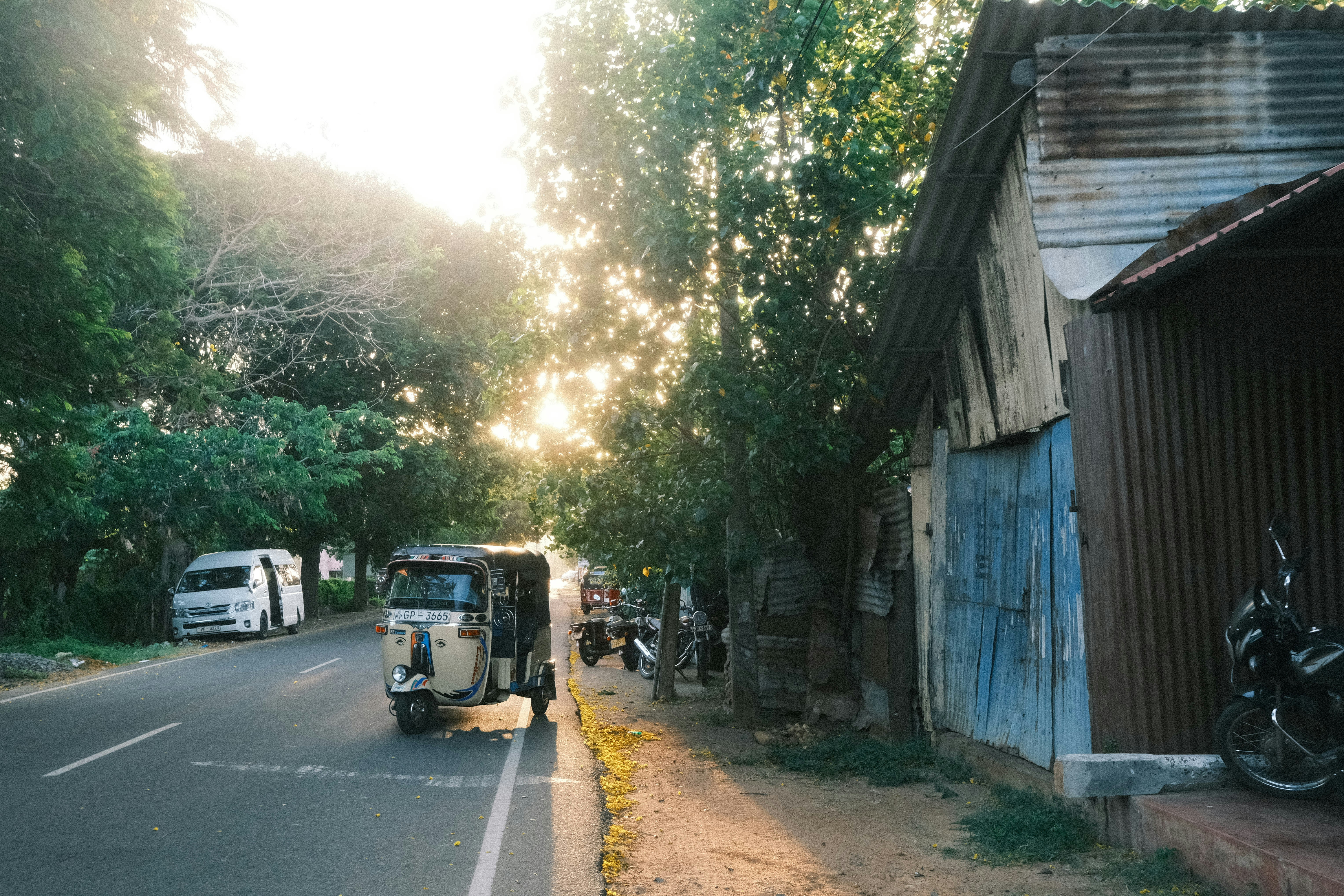 Jaffna, Sri Lanka - None