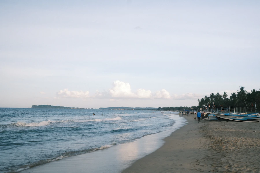 A quiet stretch of shore near Point Pedro