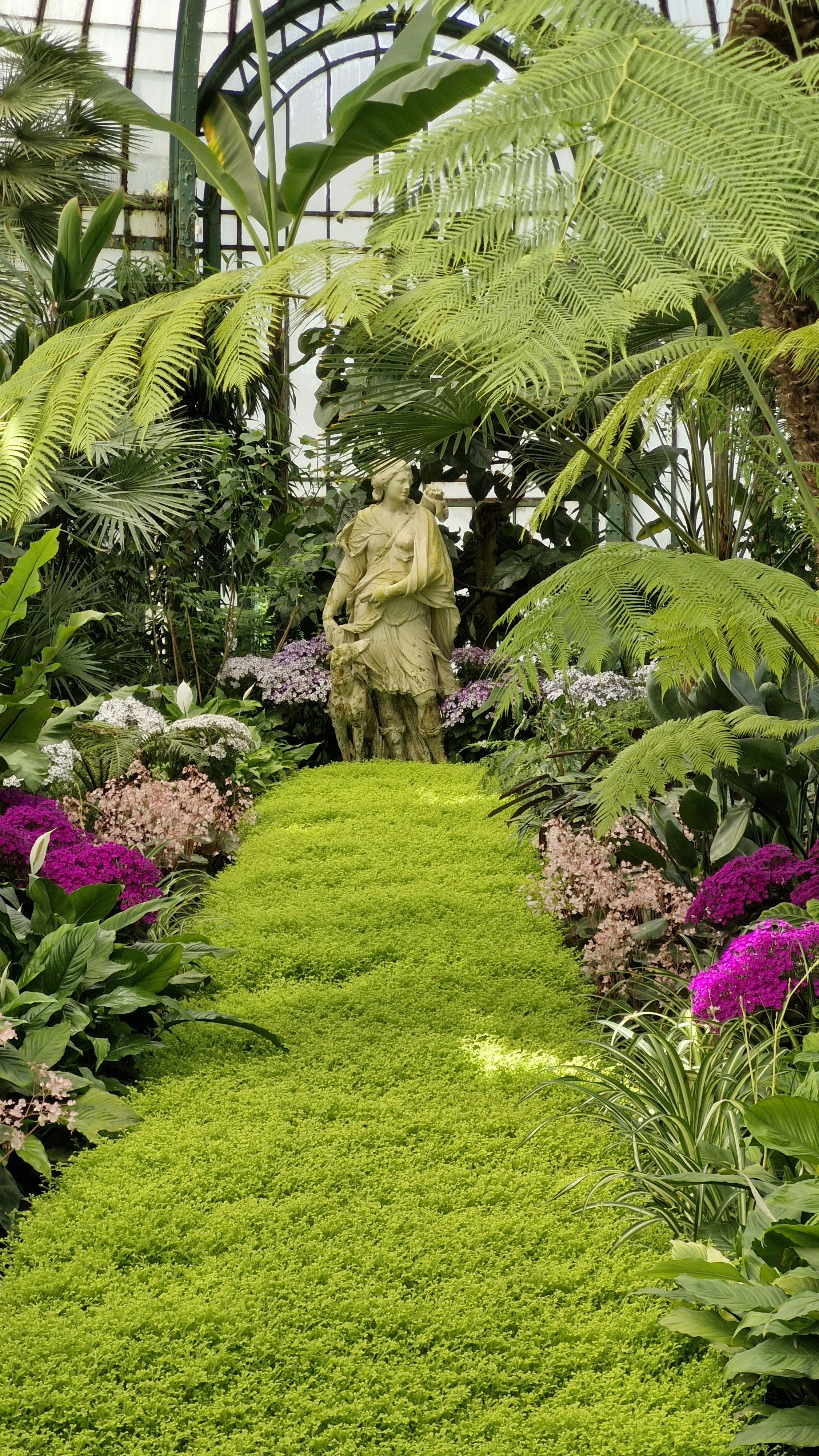 A garden filled with lots of plants and flowers