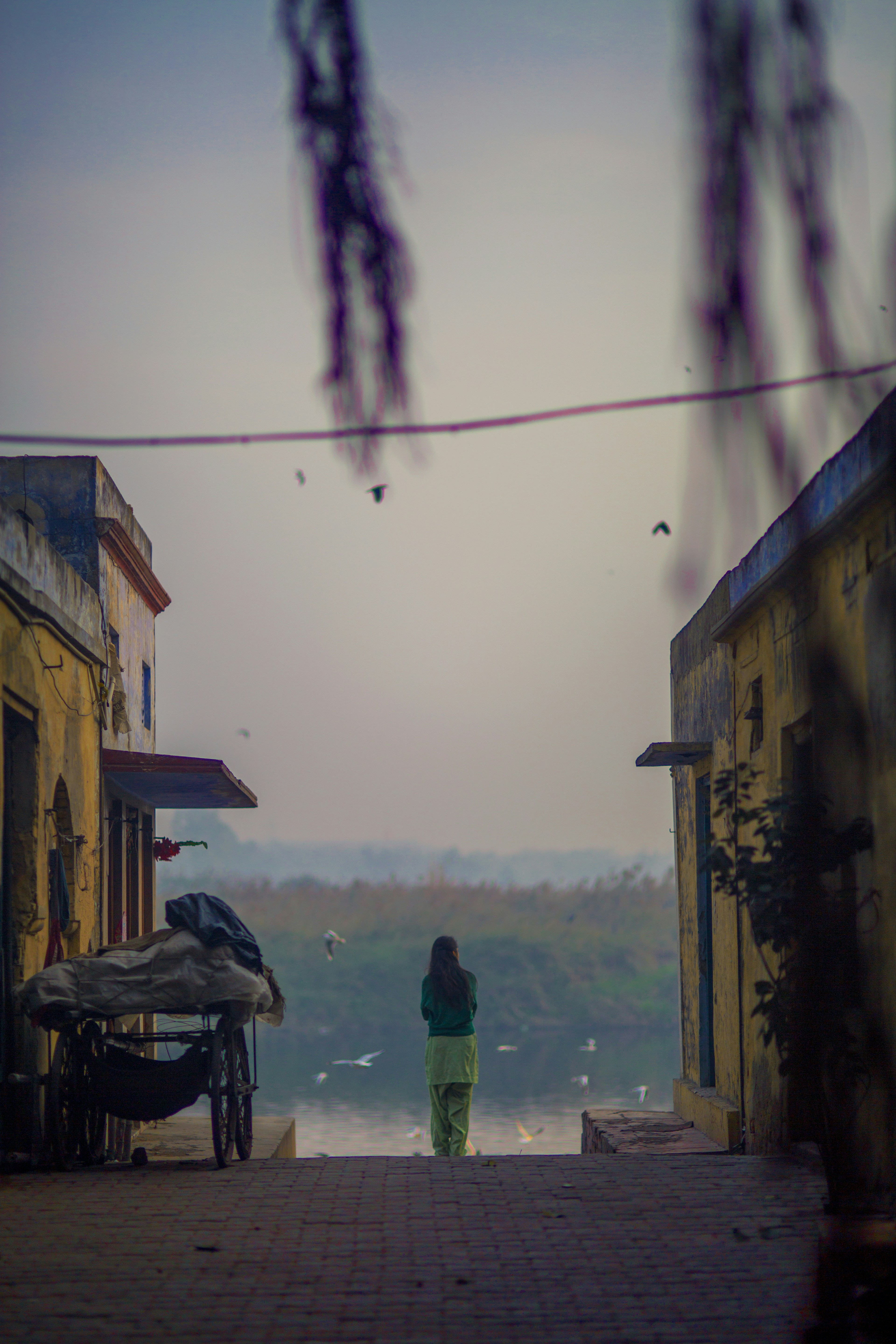 Photo by adityaries