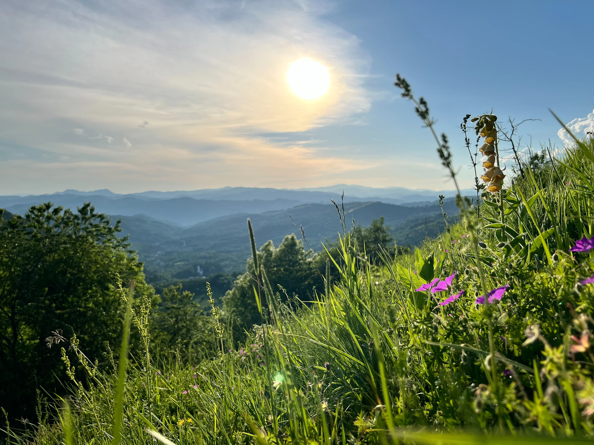 Qwen3-VL——技术报告详解