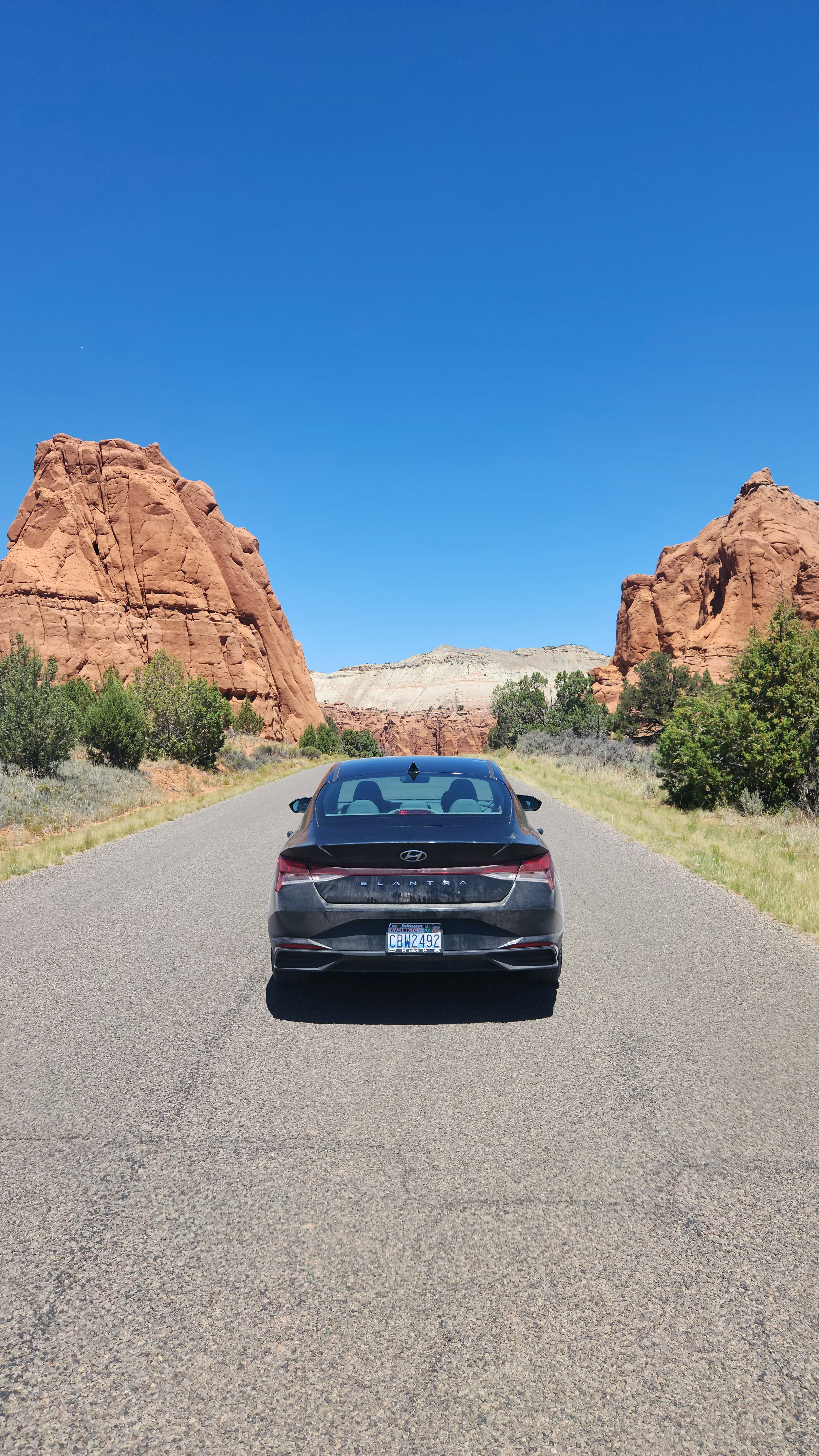 Photo by zoshuacolah