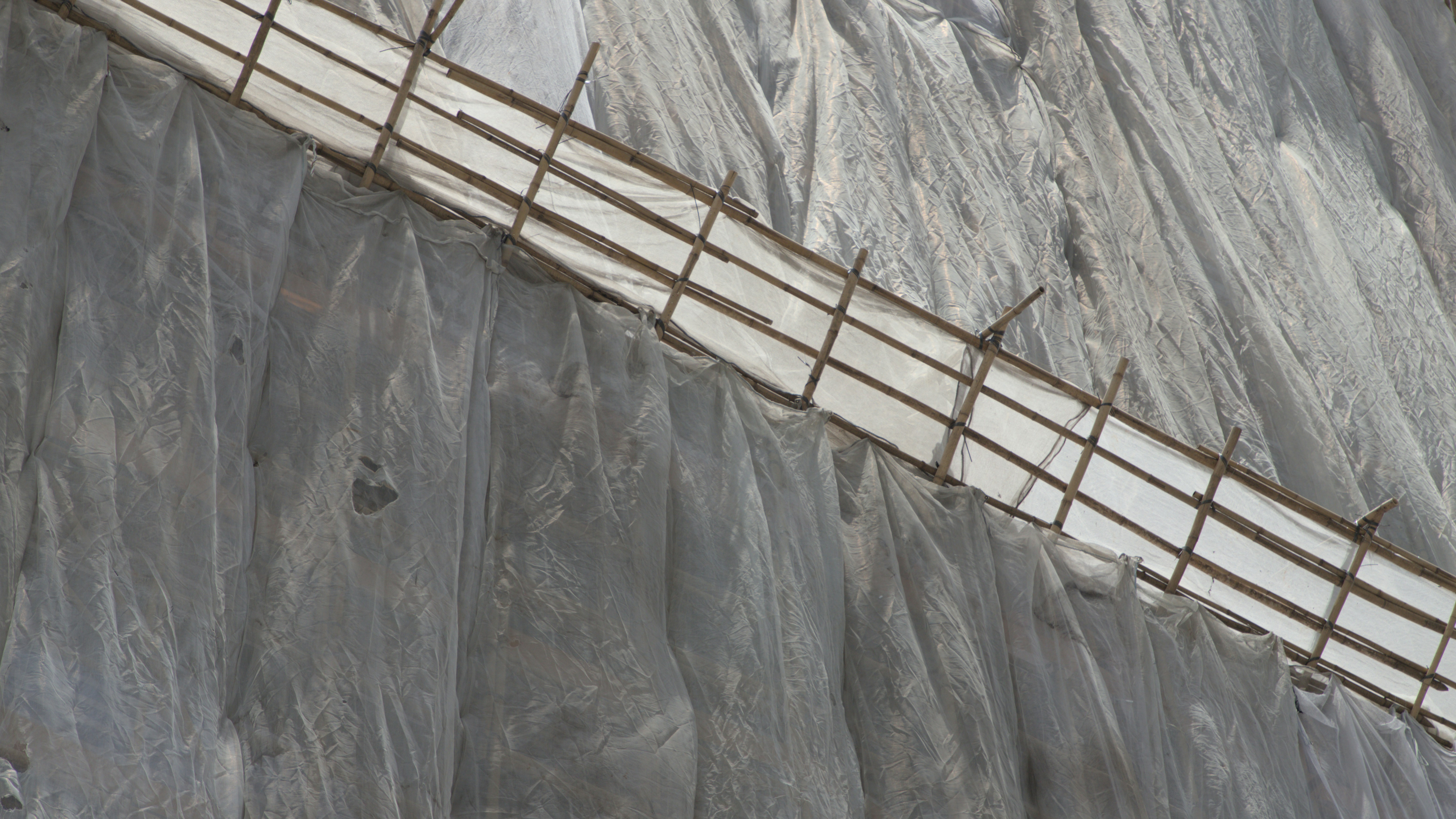 A bird is perched on a wooden fence