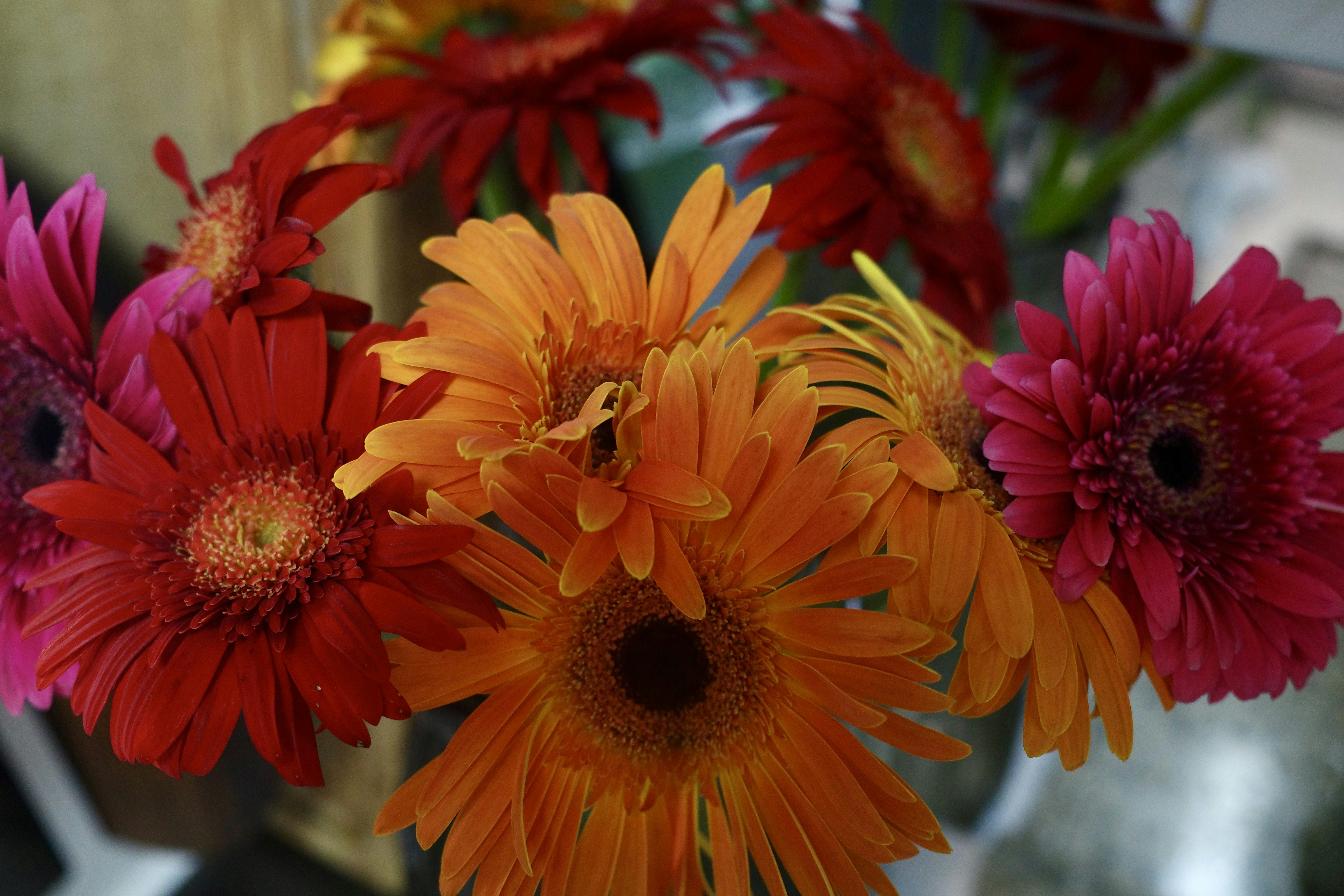 Photo by dickenslin76