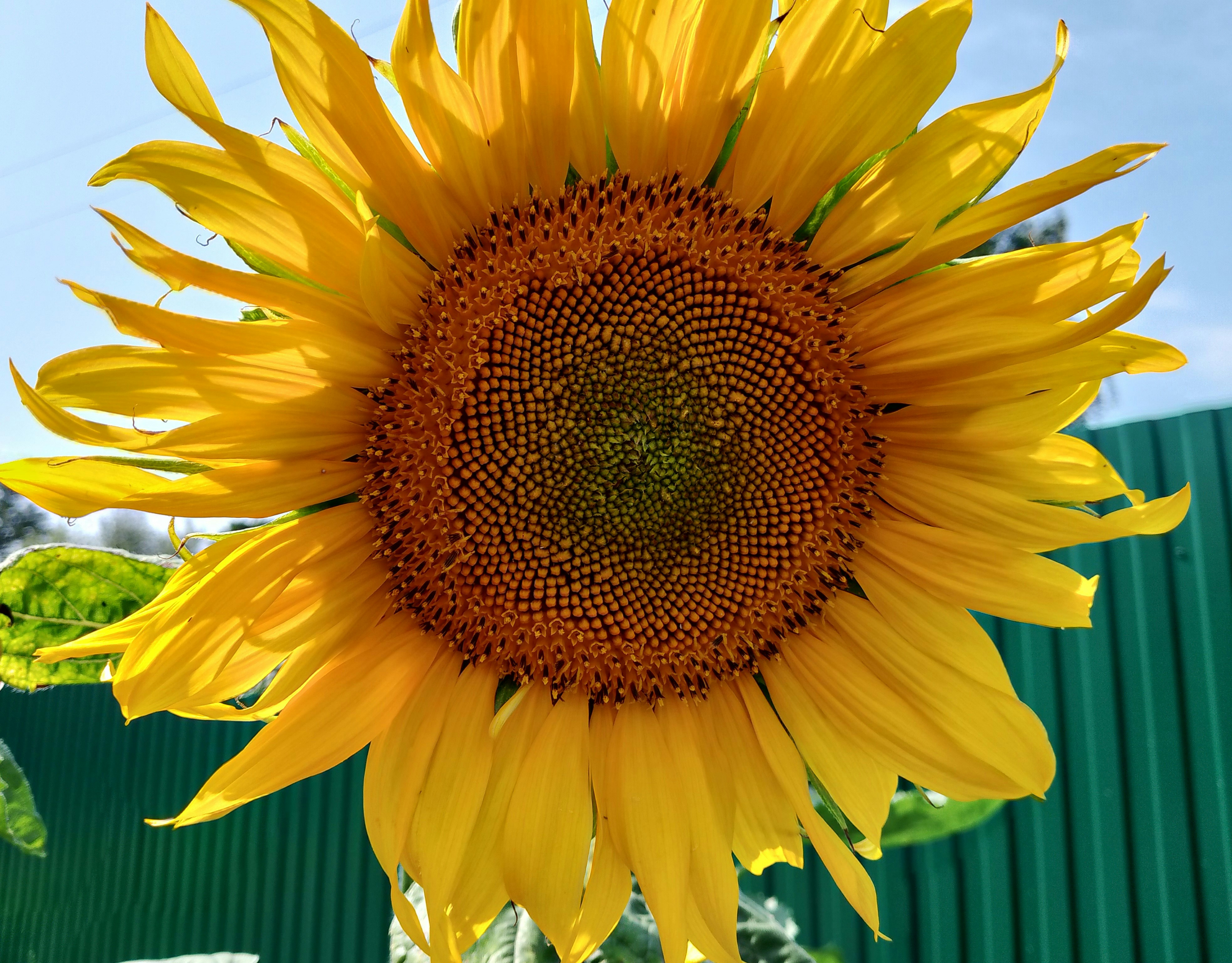 Photo by natallia_kz