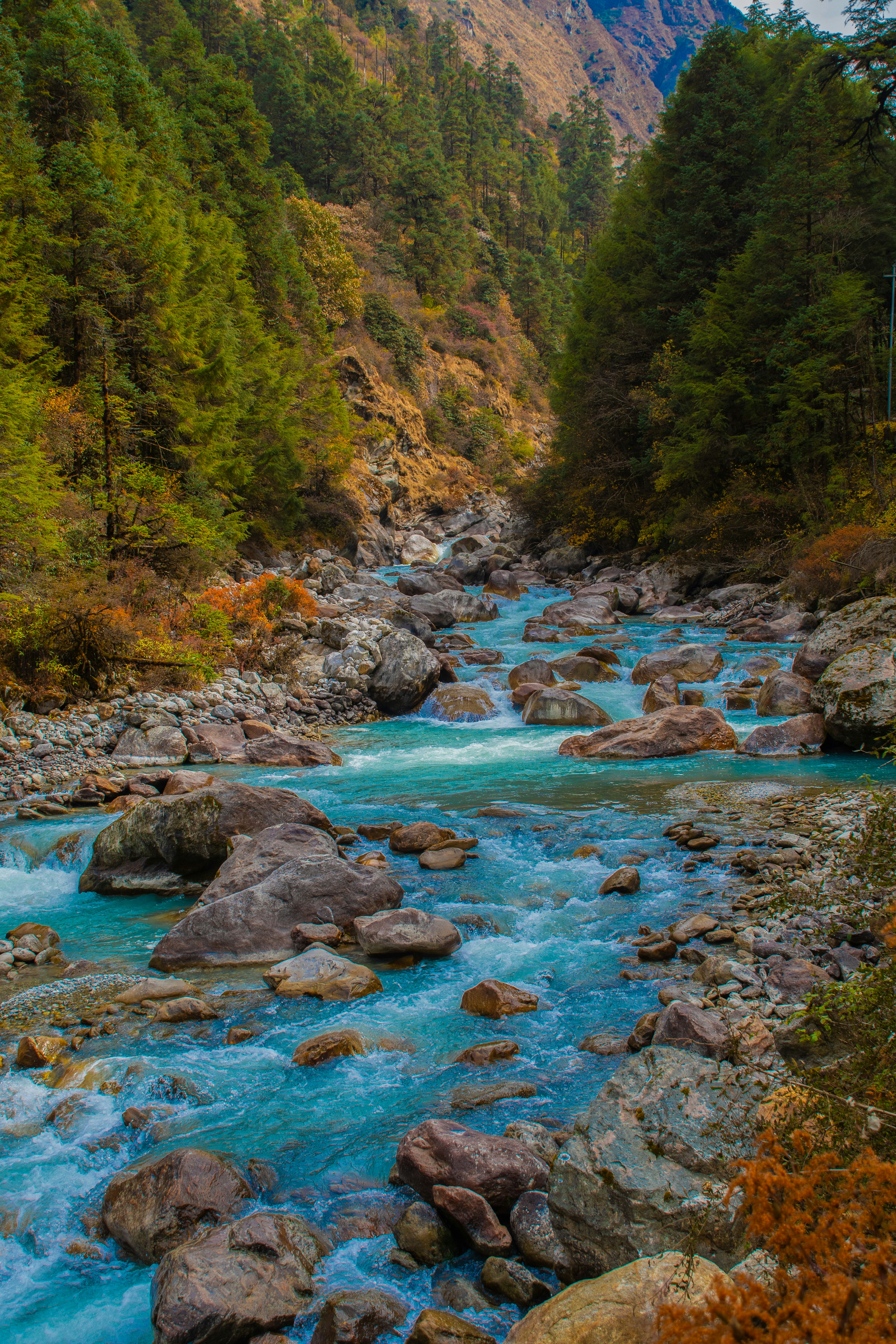 Photo by sunuwar_phadii