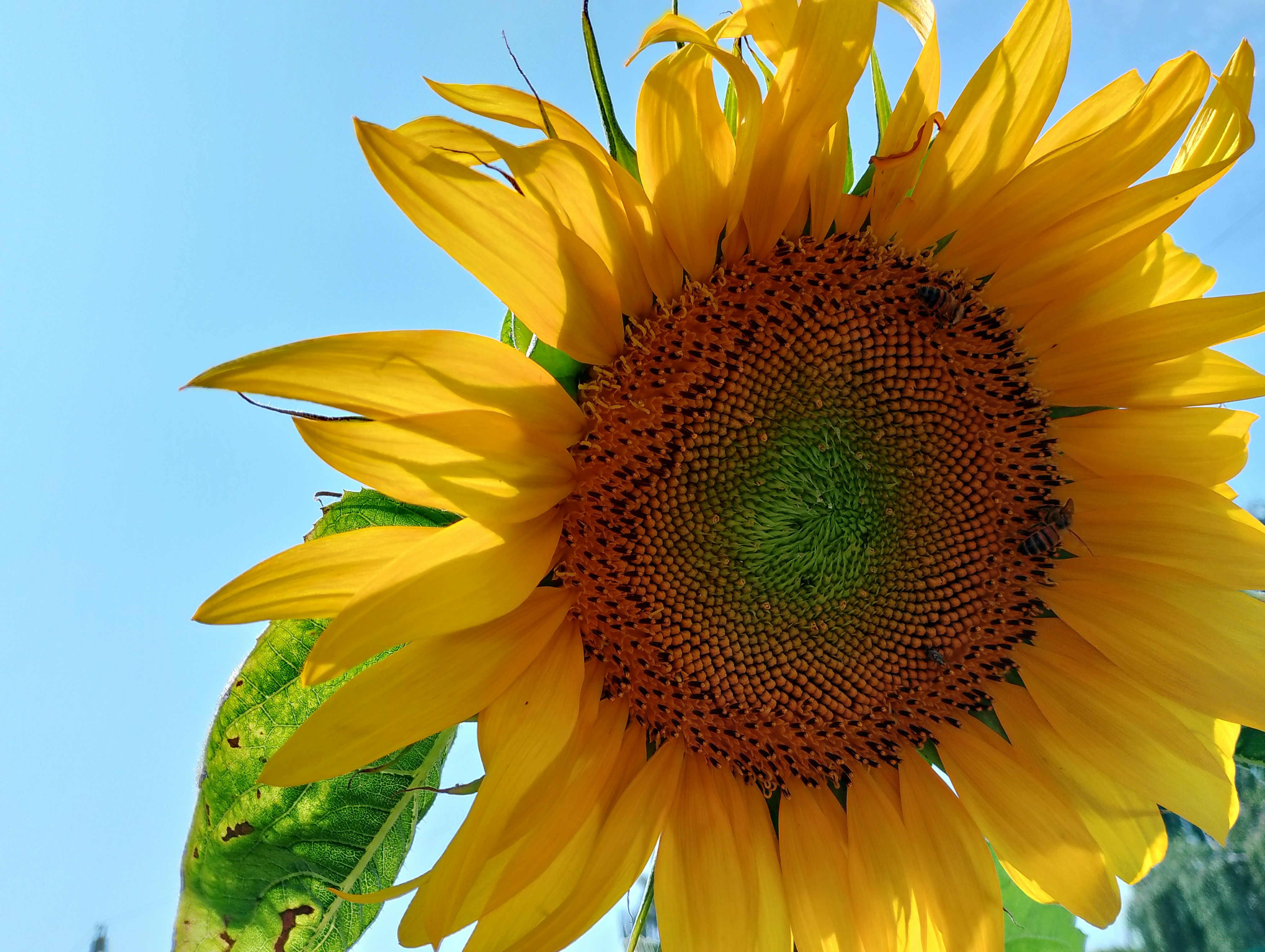 Photo by natallia_kz