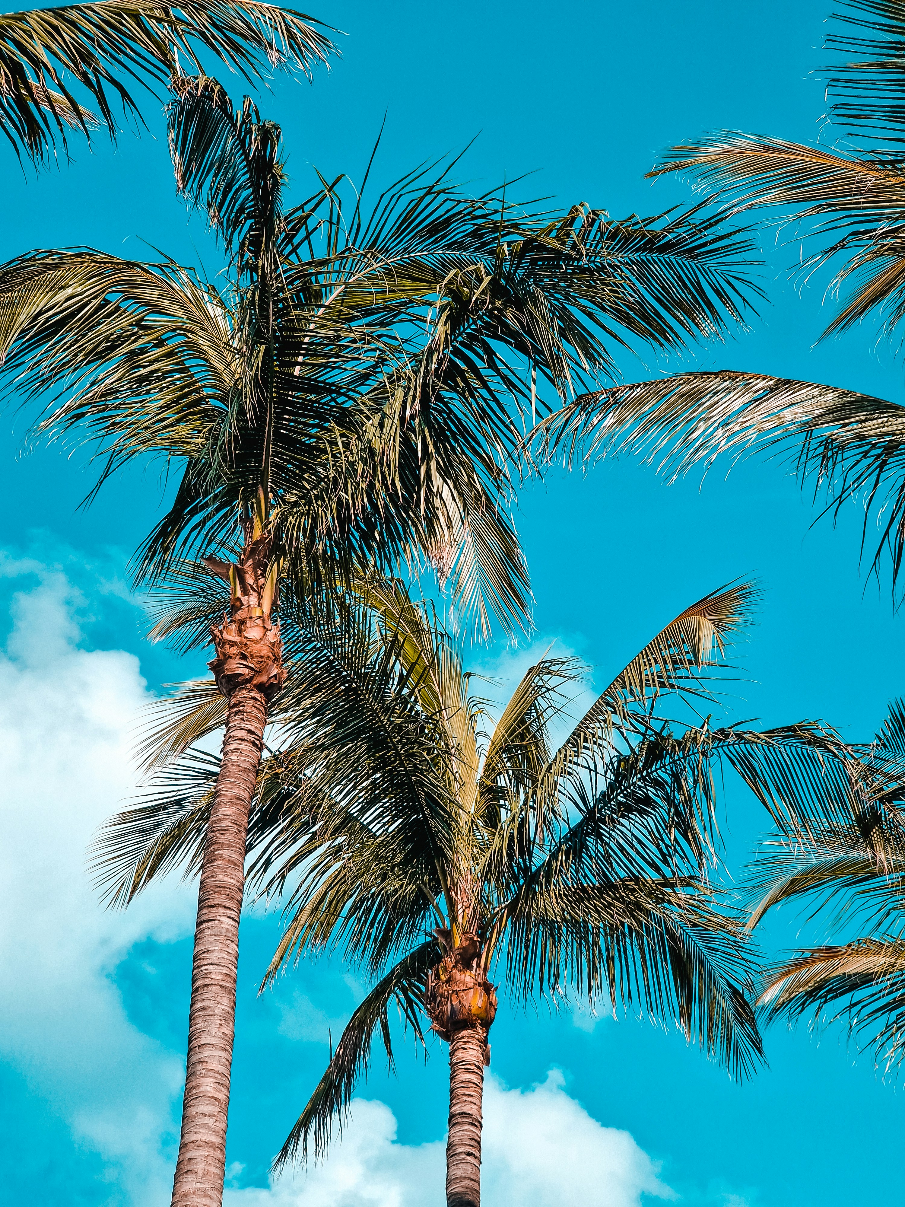 Photo by _miltiadis_