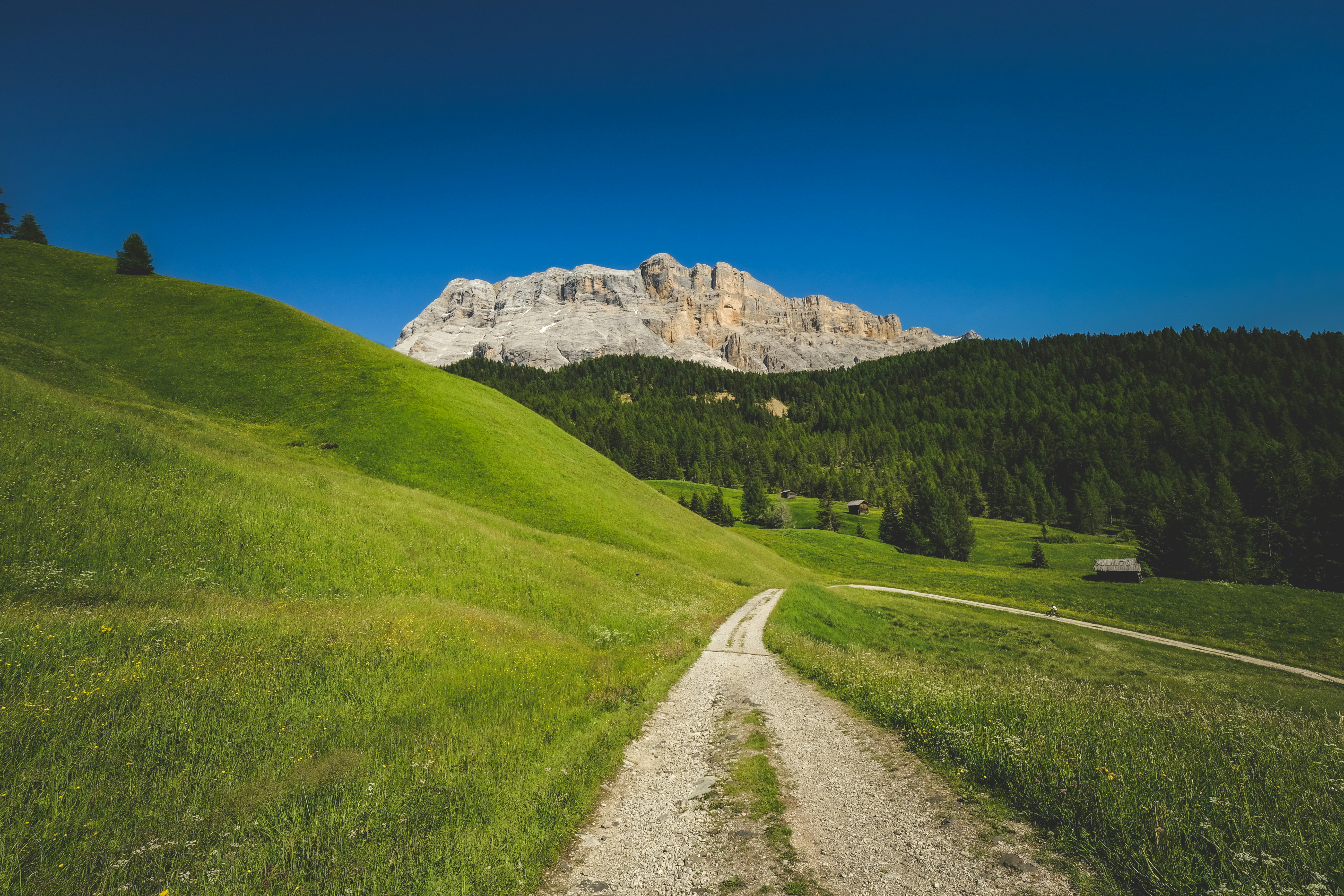 Photo by francesco_ungaro