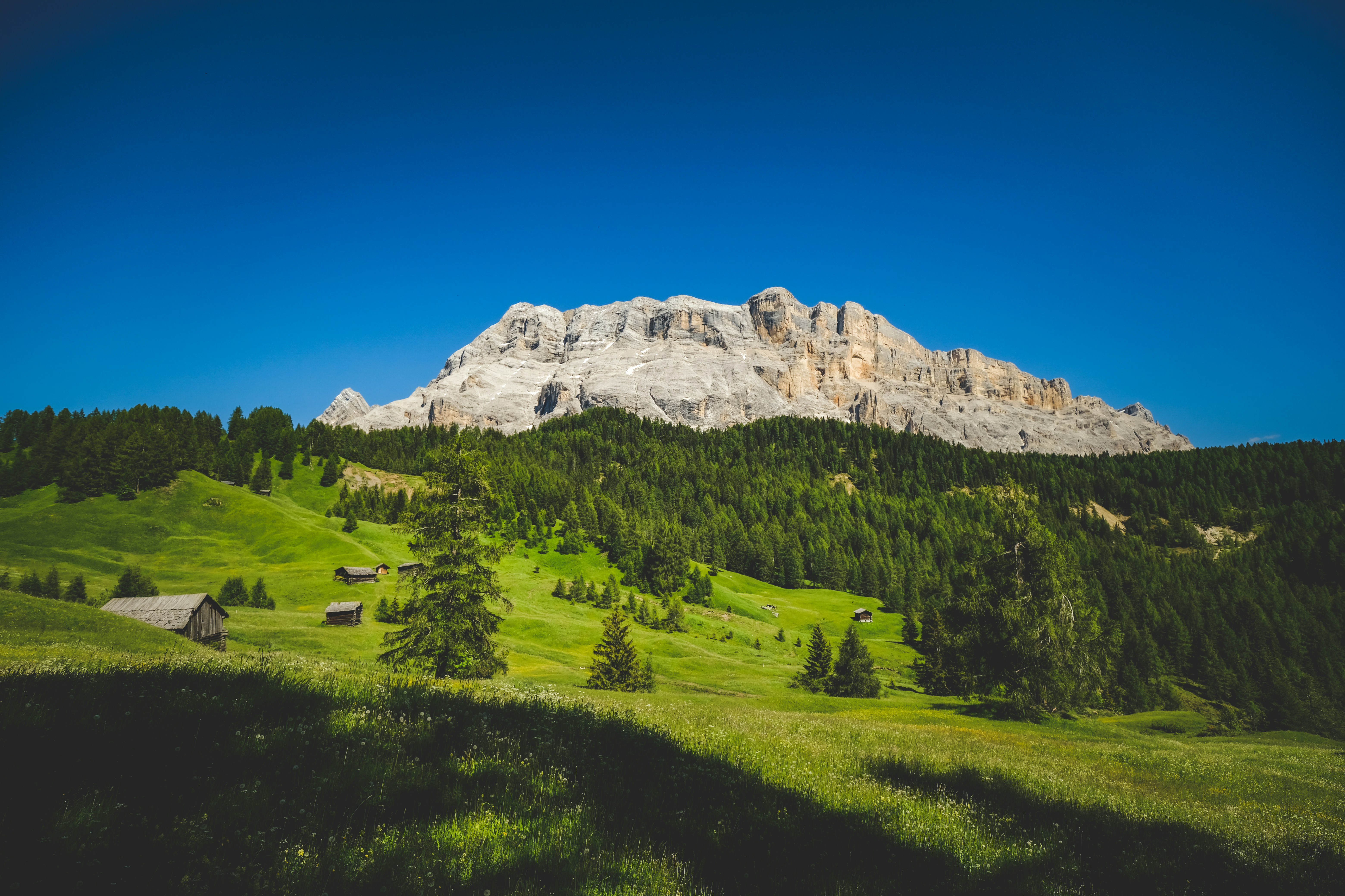 Photo by francesco_ungaro