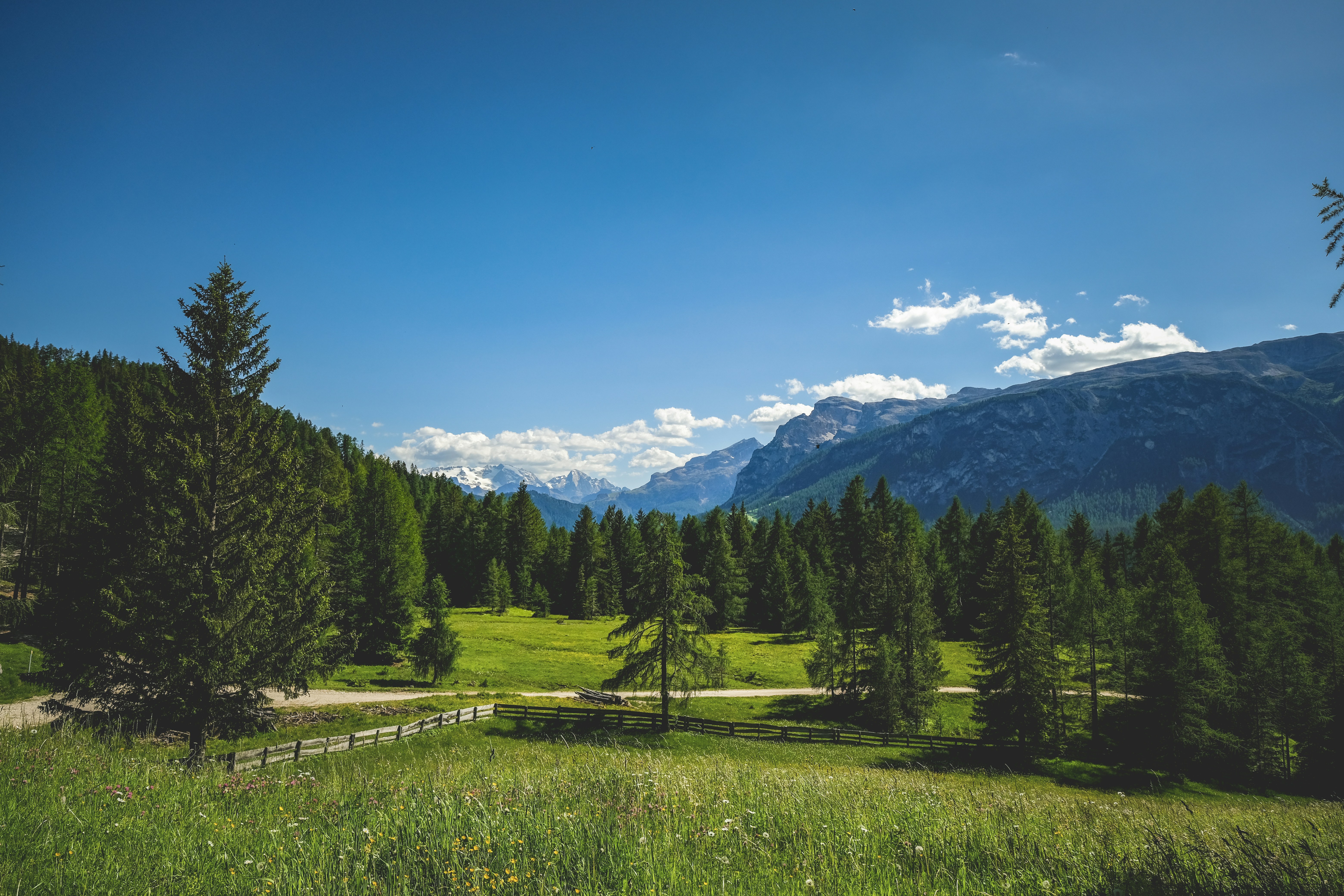 Photo by francesco_ungaro