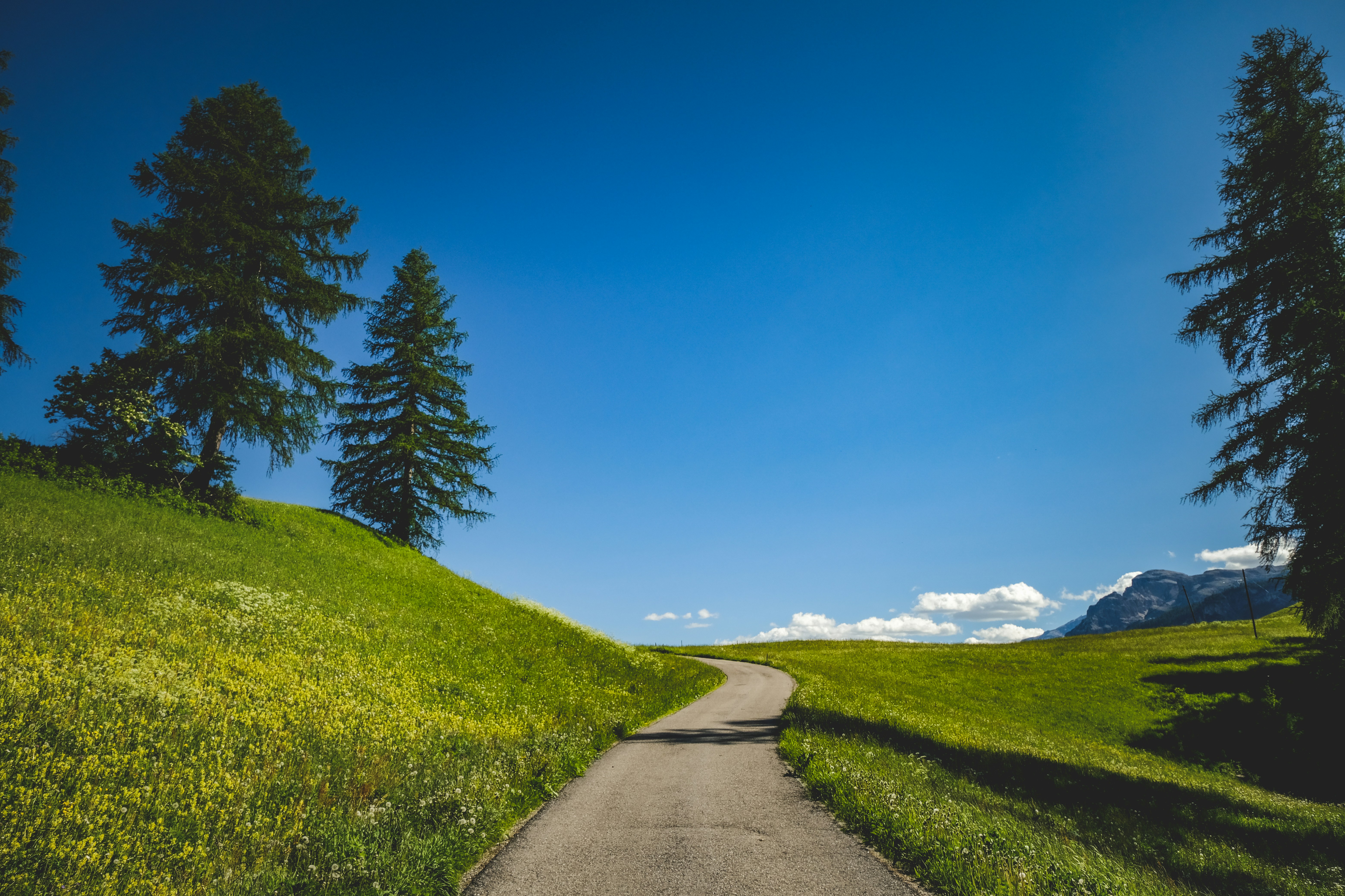 Photo by francesco_ungaro