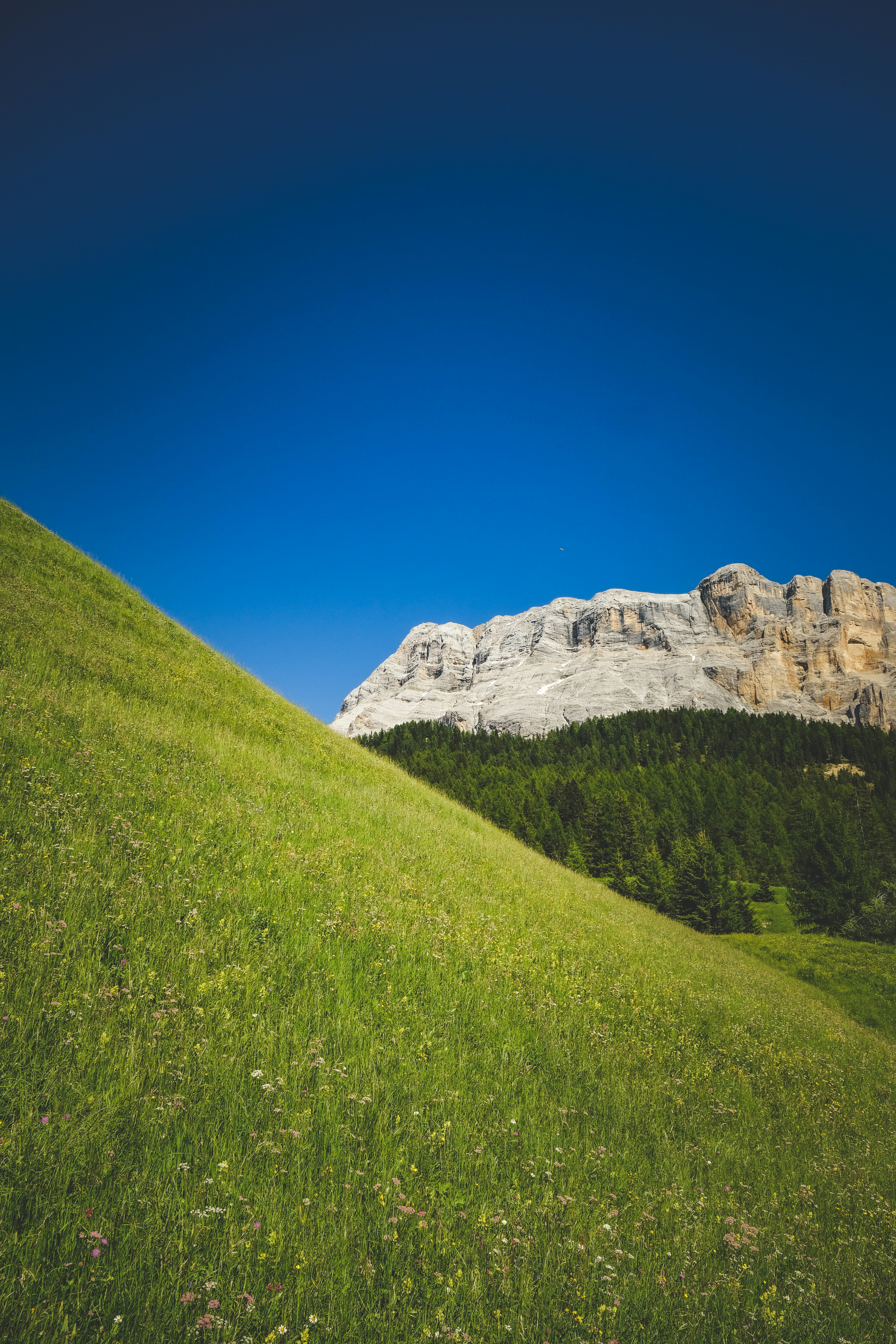 Photo by francesco_ungaro