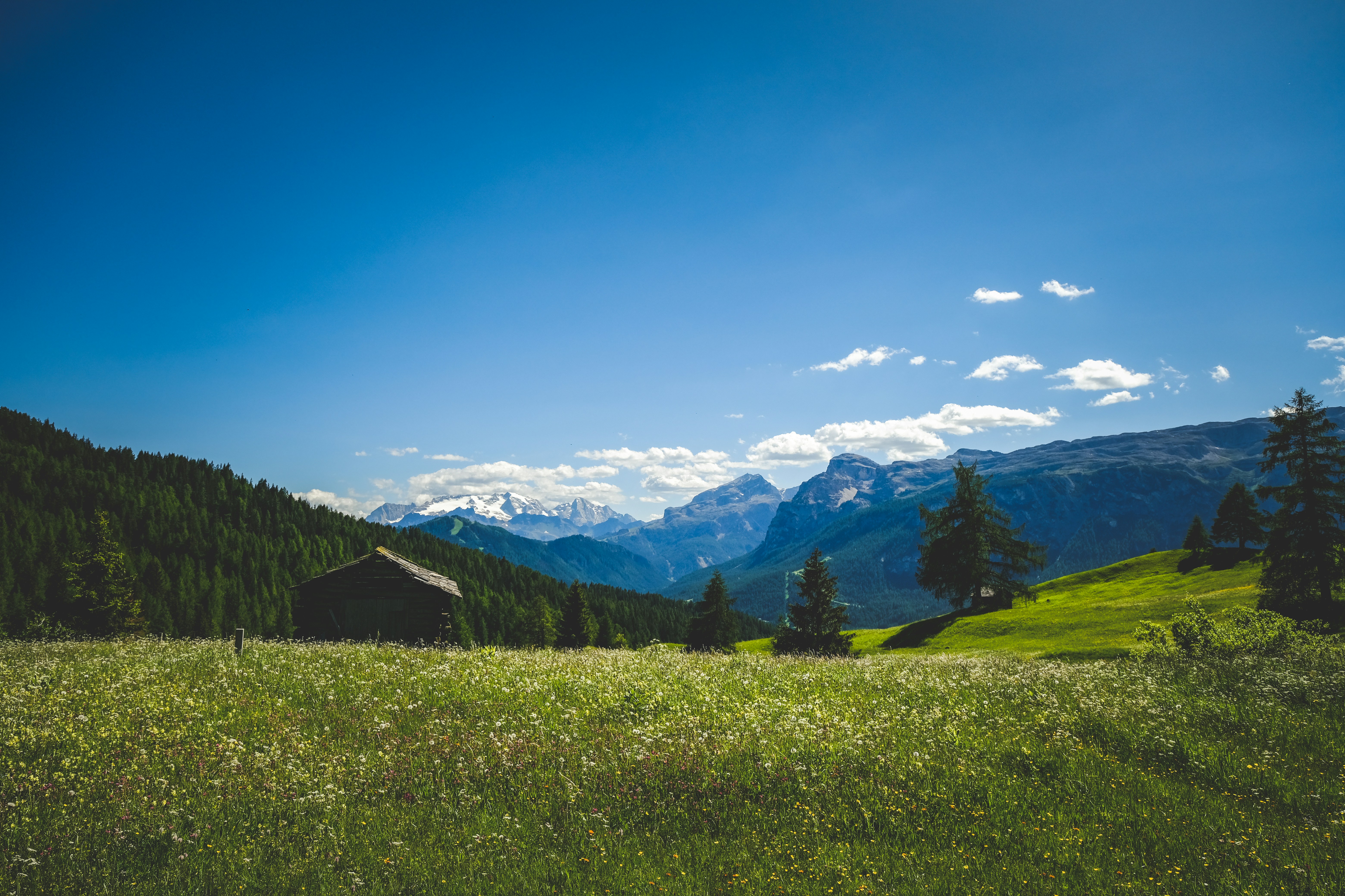 Photo by francesco_ungaro