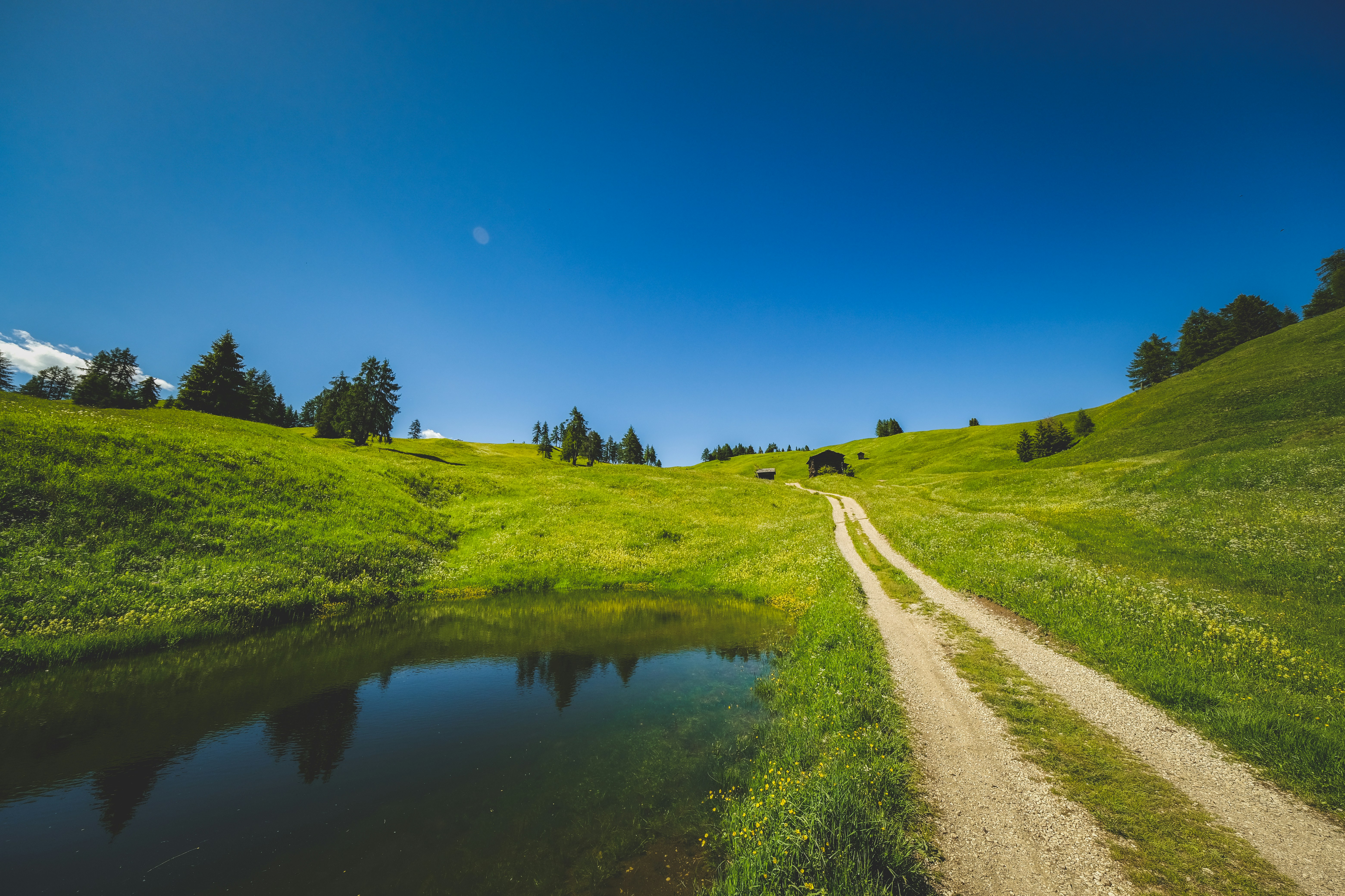 Photo by francesco_ungaro