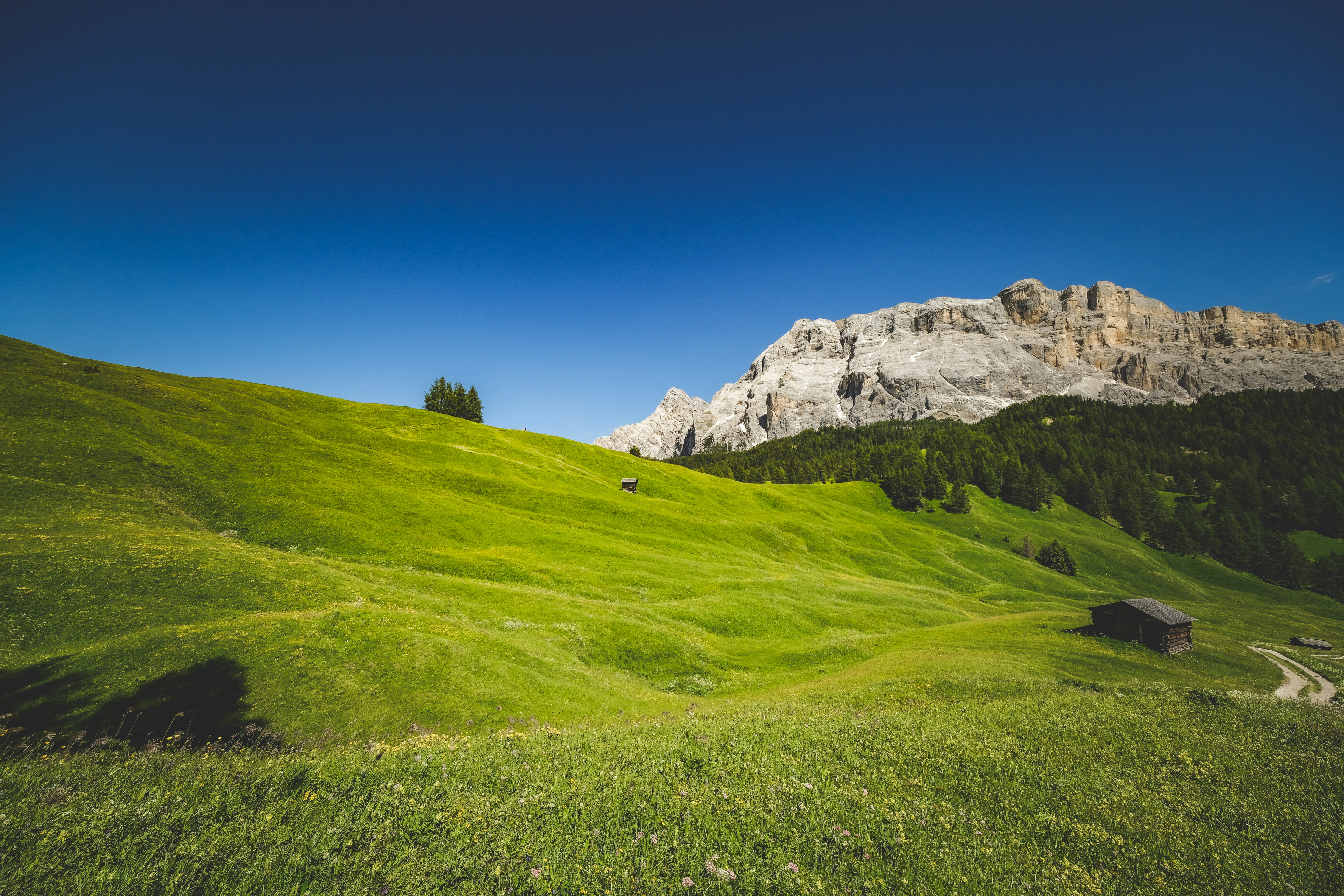 산을 배경으로 한 잔디밭