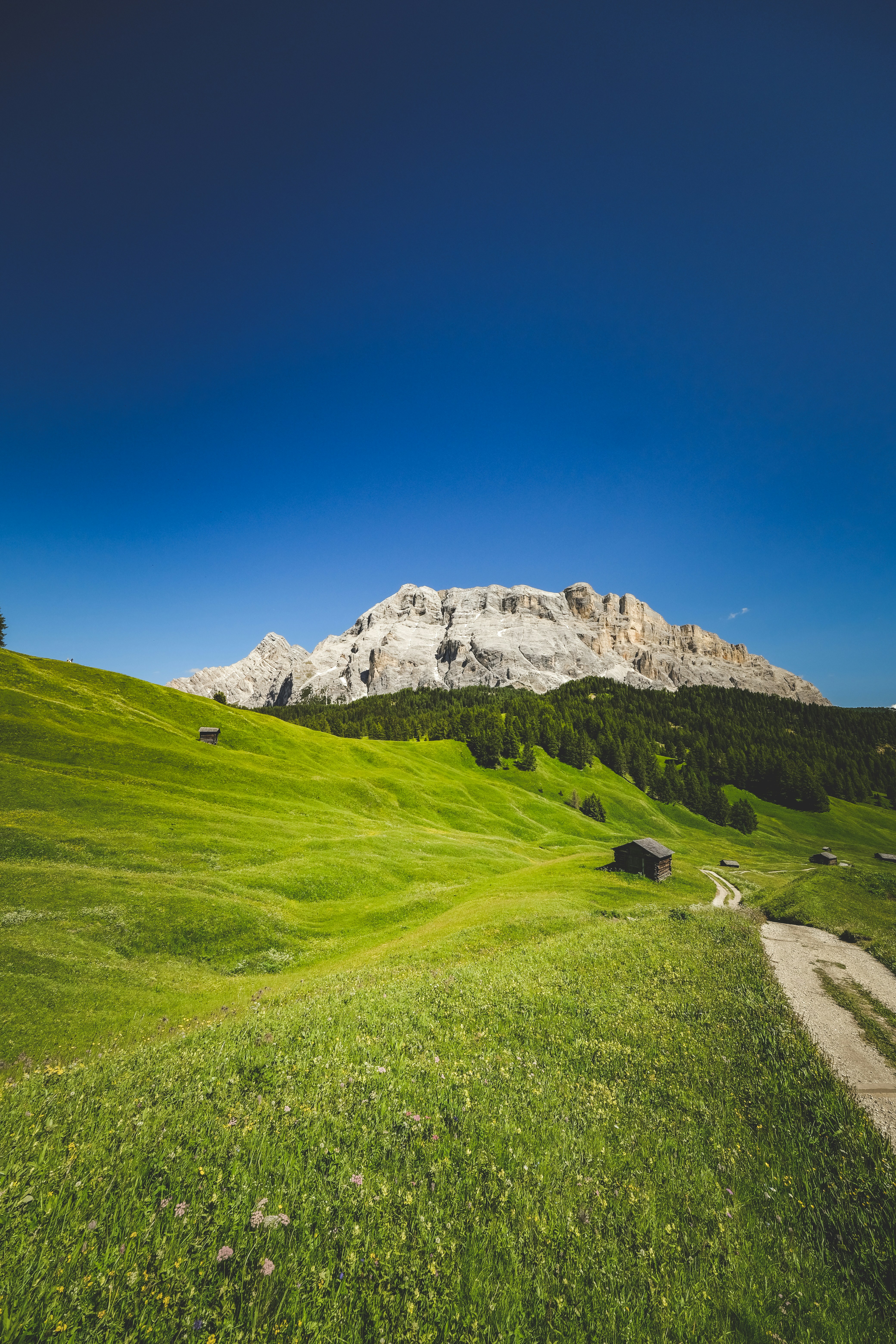 Photo by francesco_ungaro