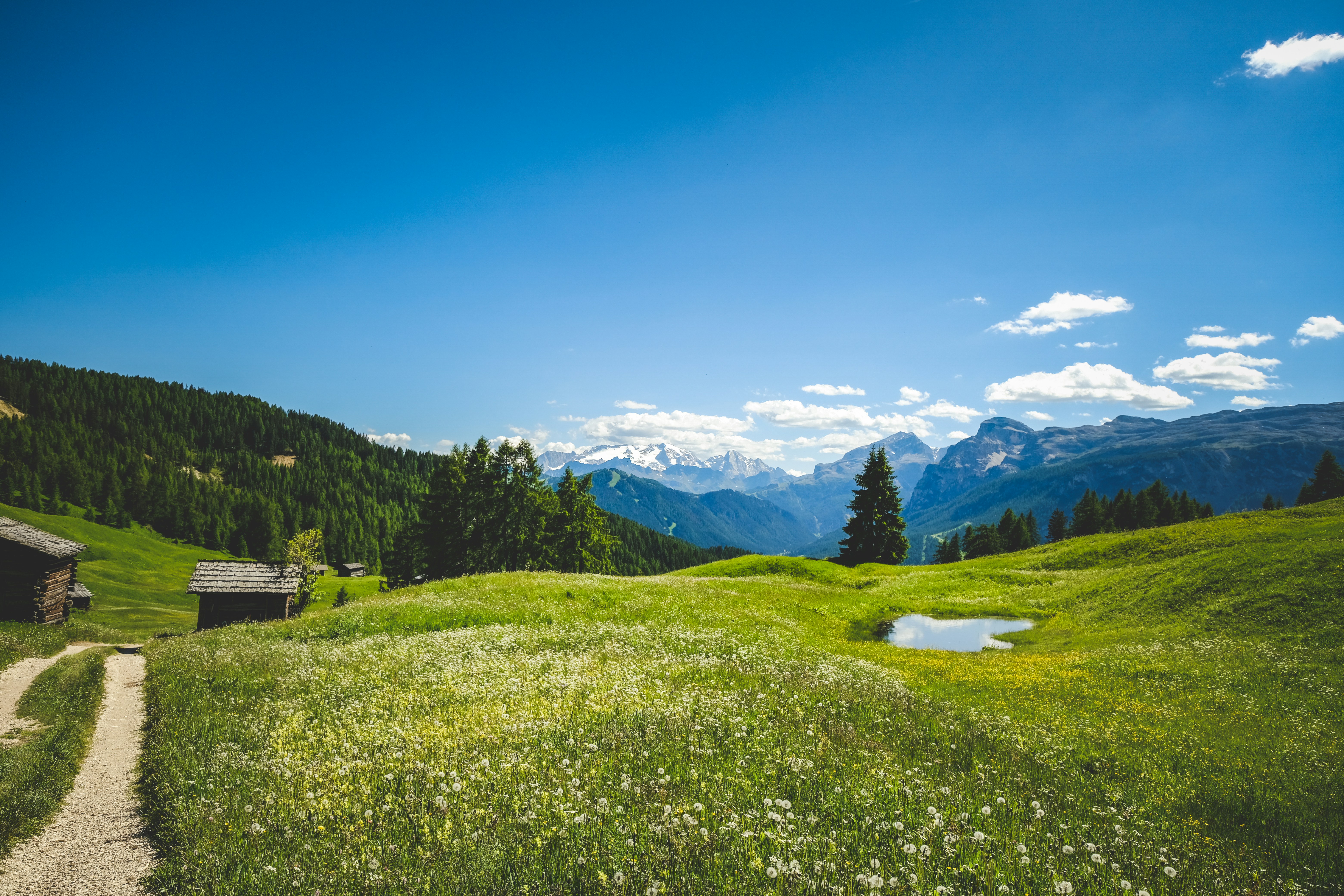 Photo by francesco_ungaro