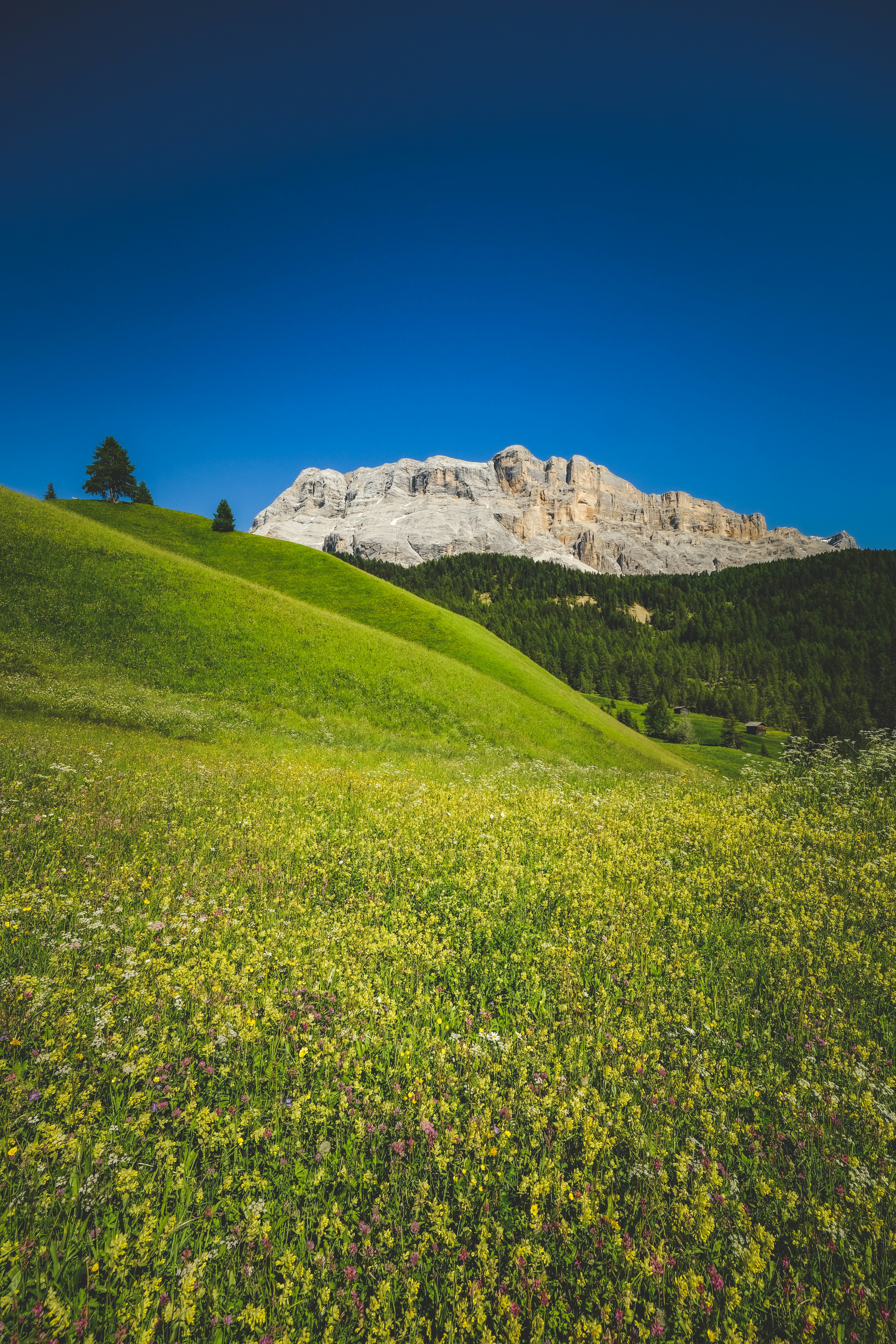 Photo by francesco_ungaro