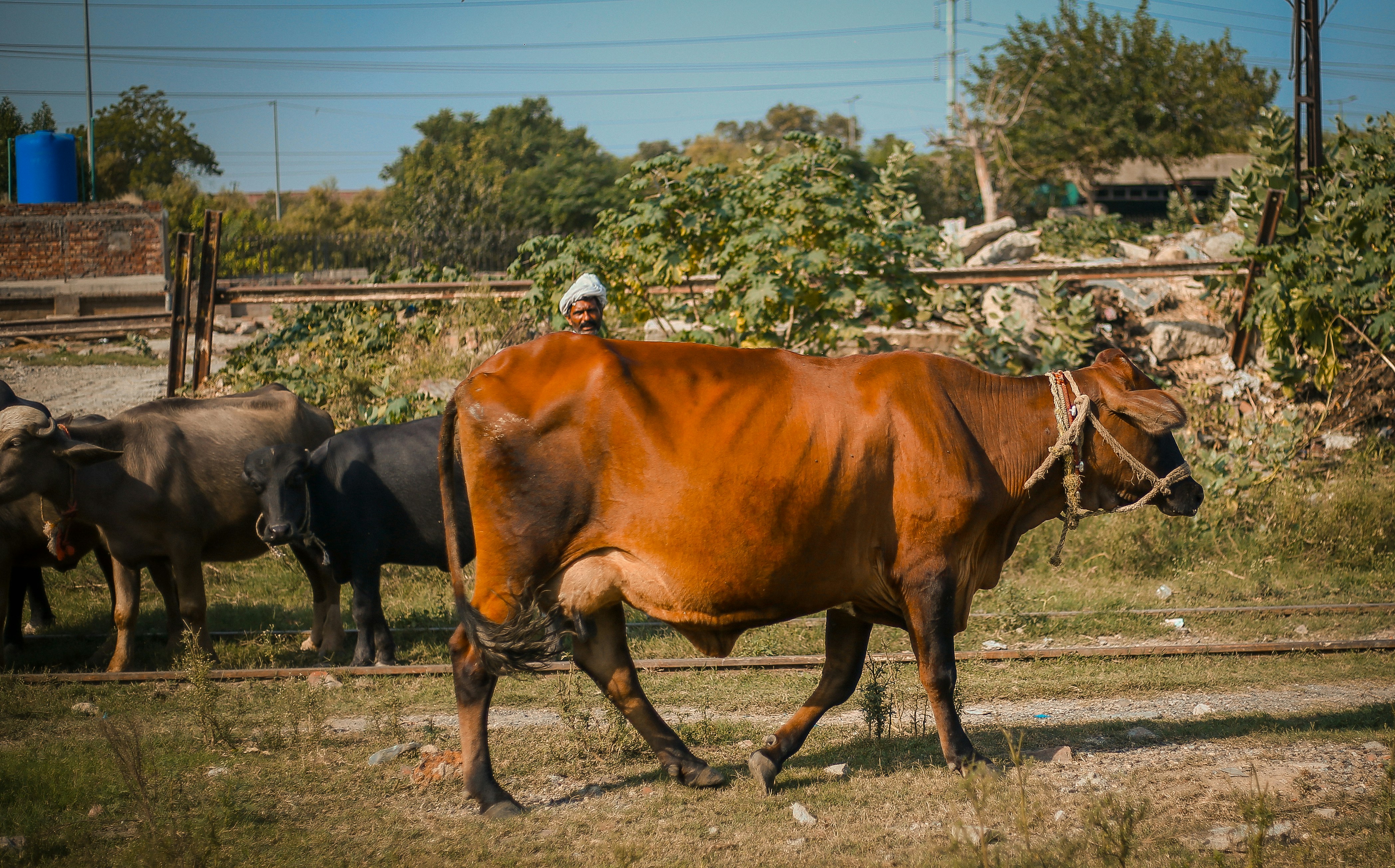 Photo by mnaeemad