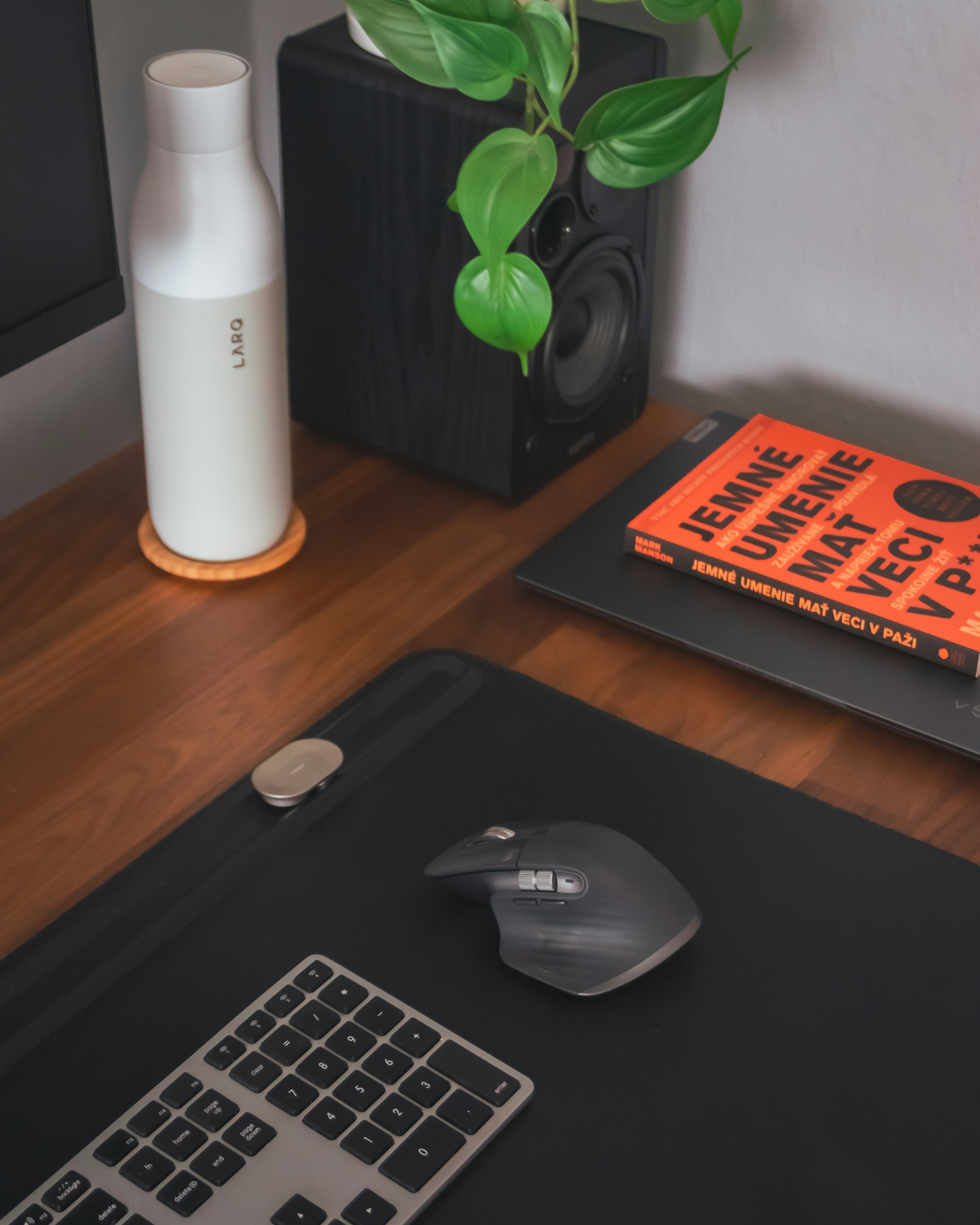A computer desk with a keyboard, mouse and a plant photo – Free ...