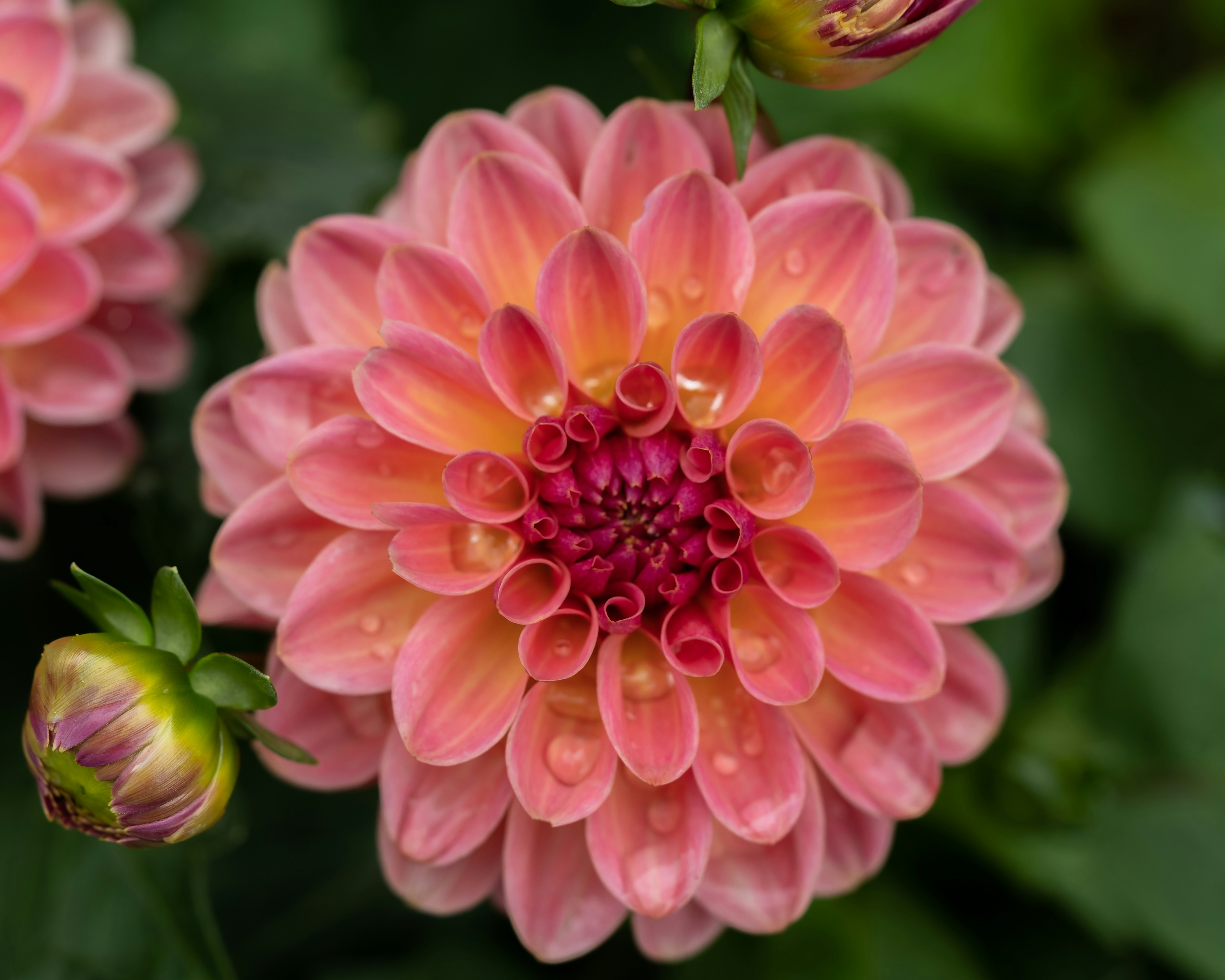 Photo by handesimsek