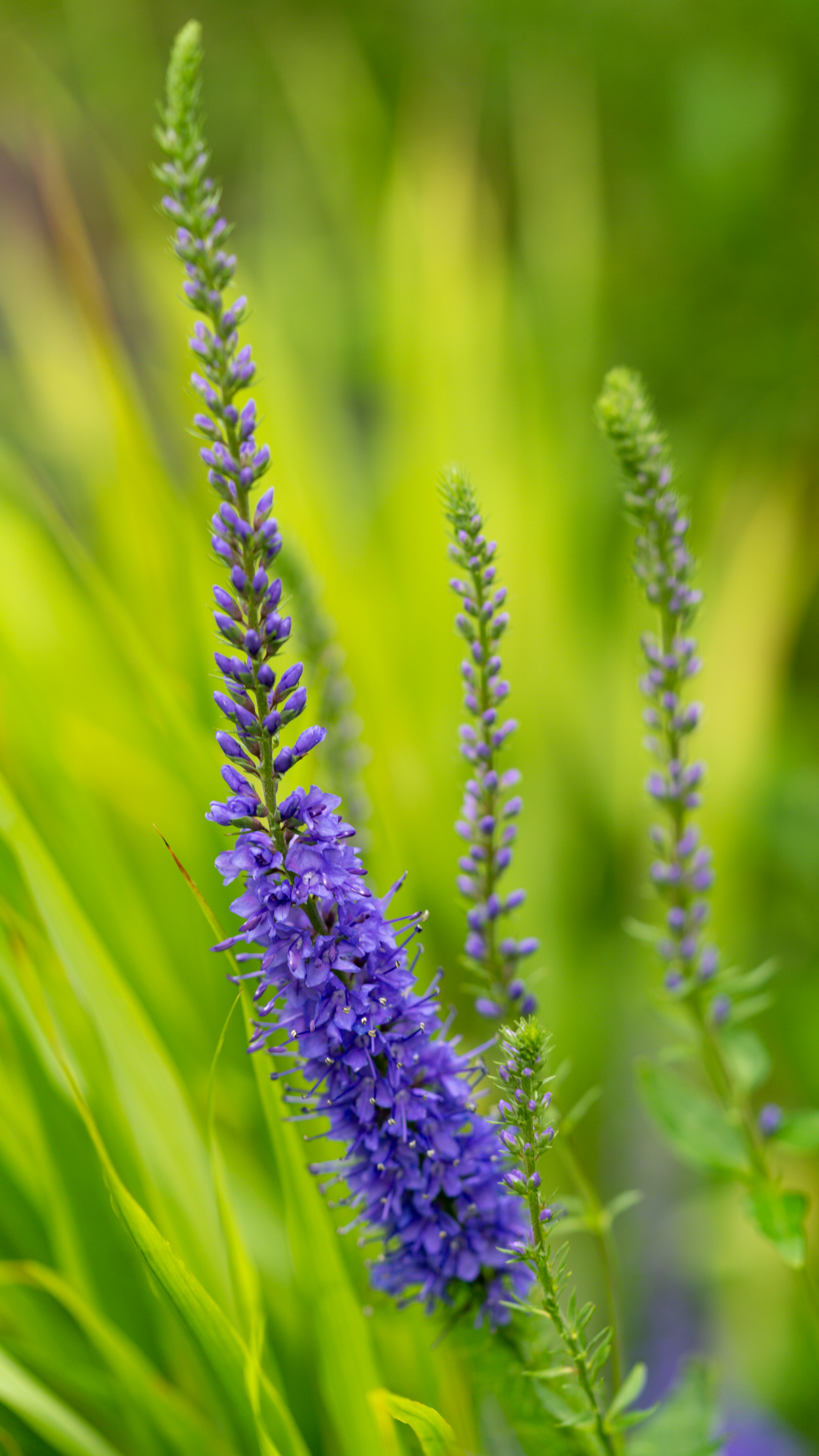 Photo by handesimsek