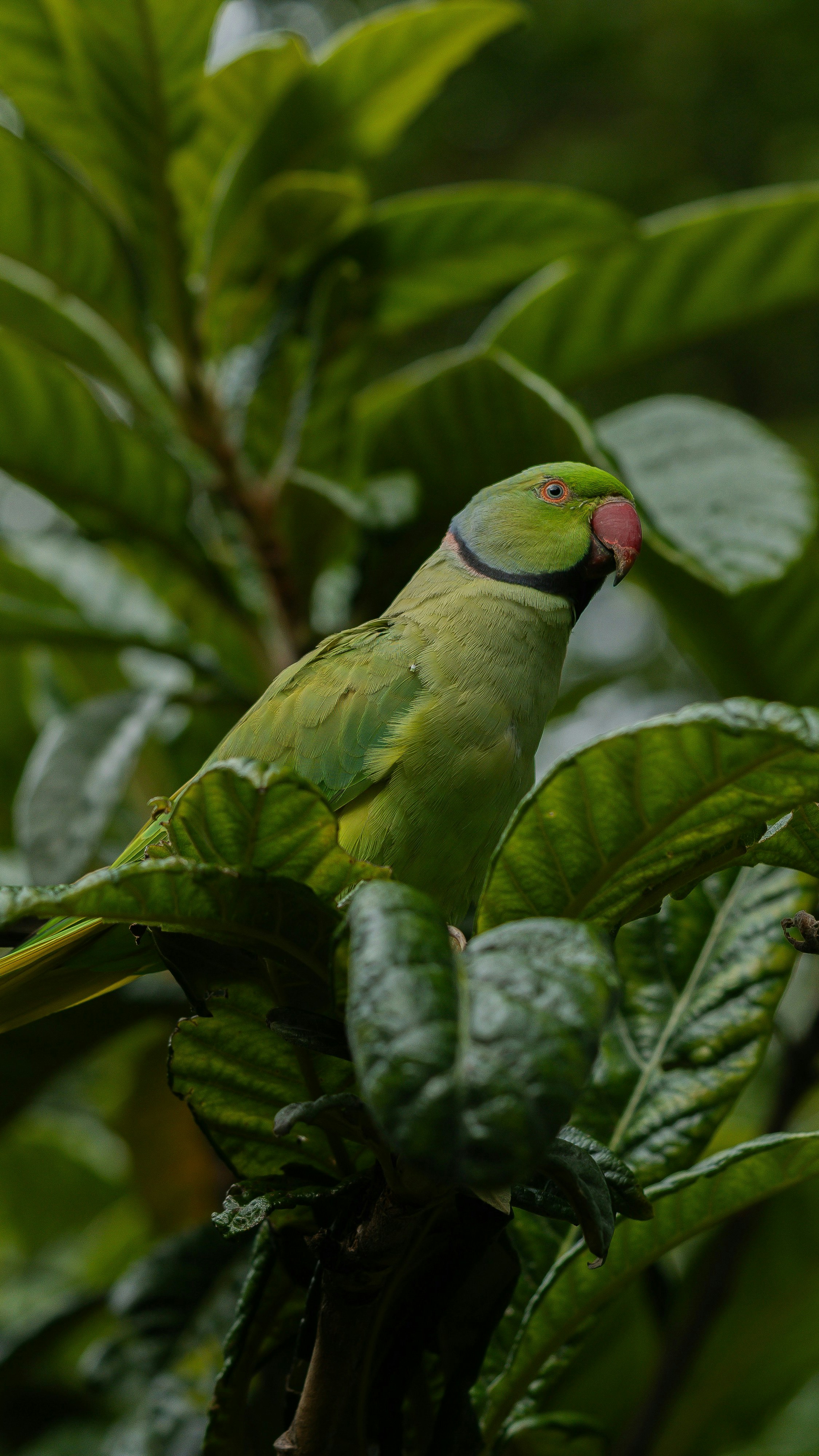 Photo by fatihsimsek