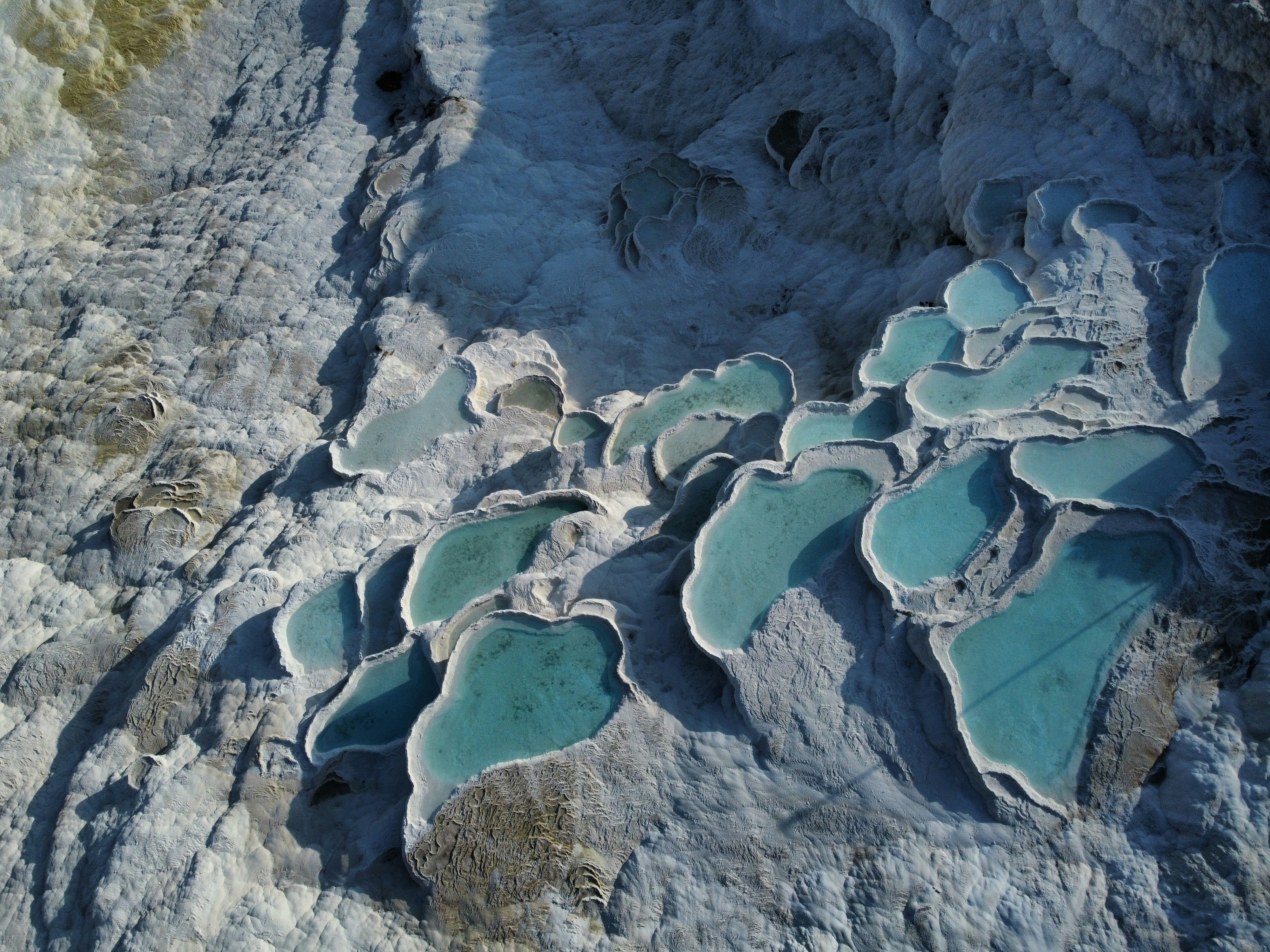 Cotton Castle