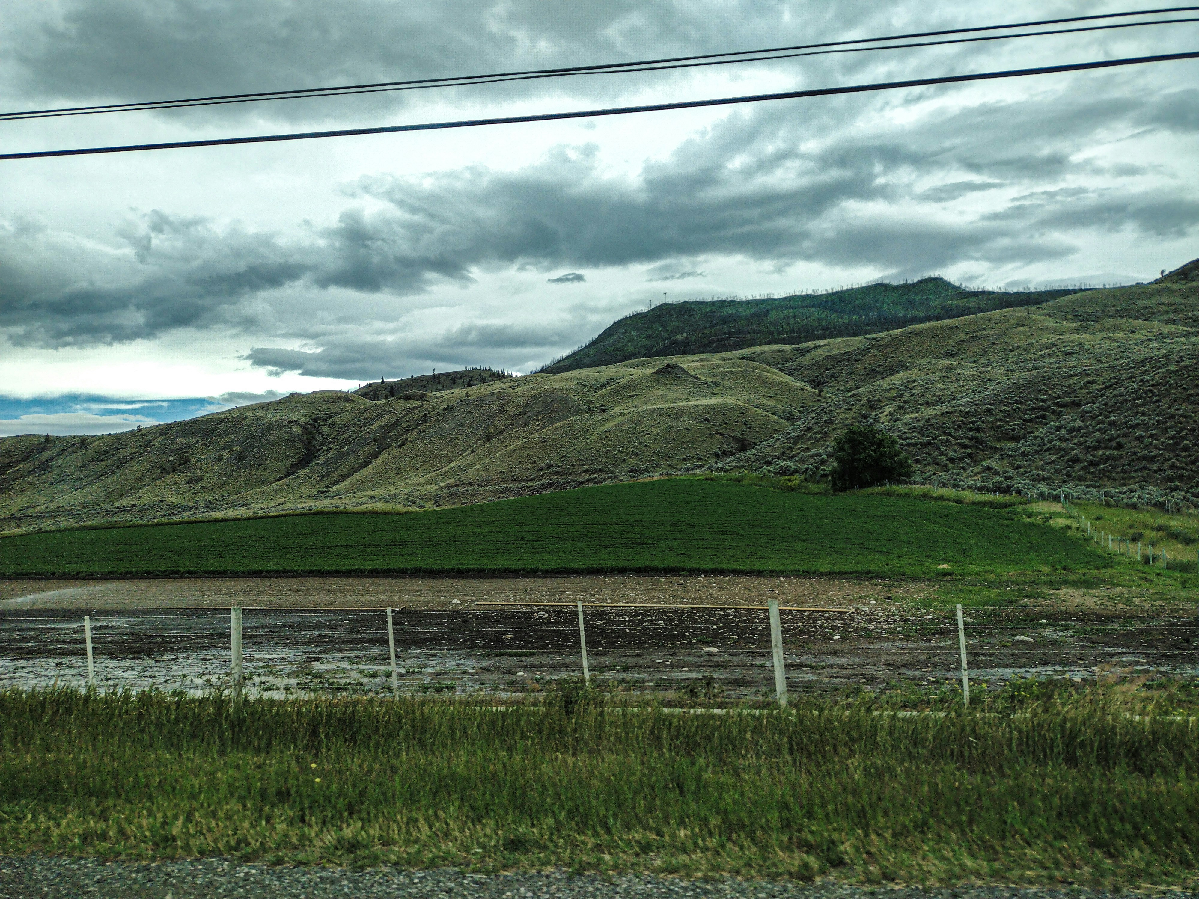 Optimizing Marketplace Listing Performance After the 2026 Cache‑Control Update