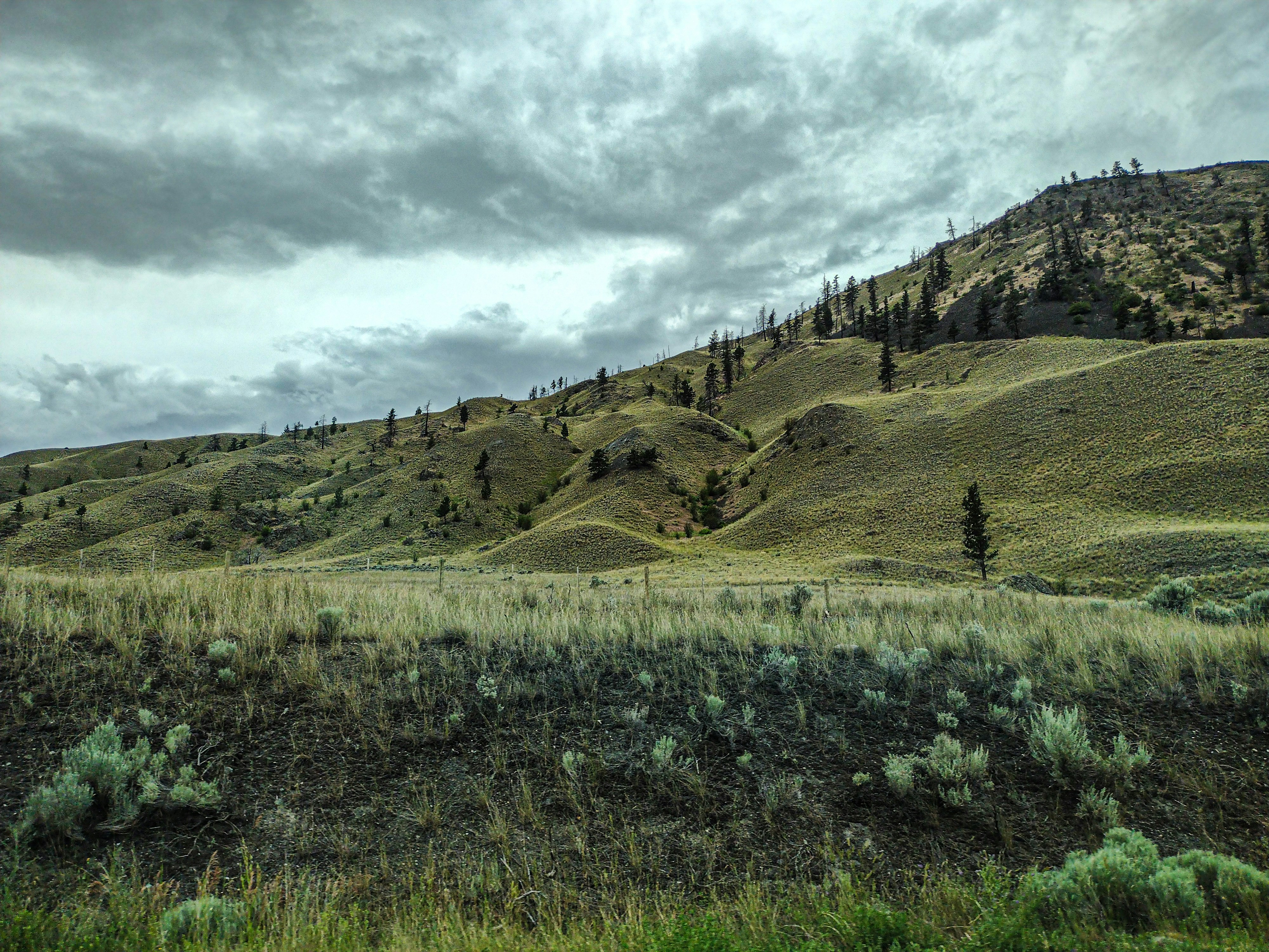 Photo by prphotography262