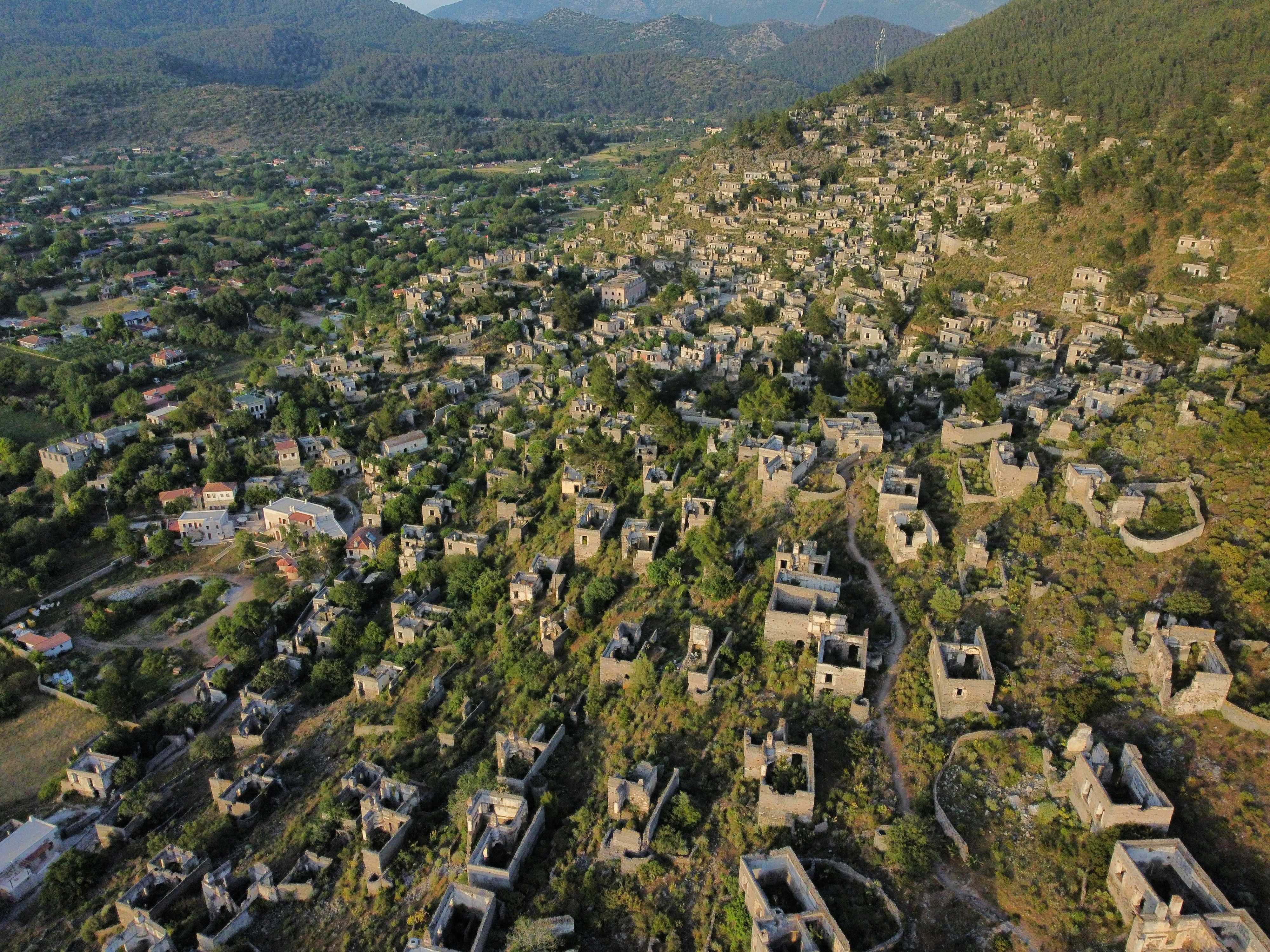 Valleygross Daniela Author Spotlight: Real Estate Insights 2026