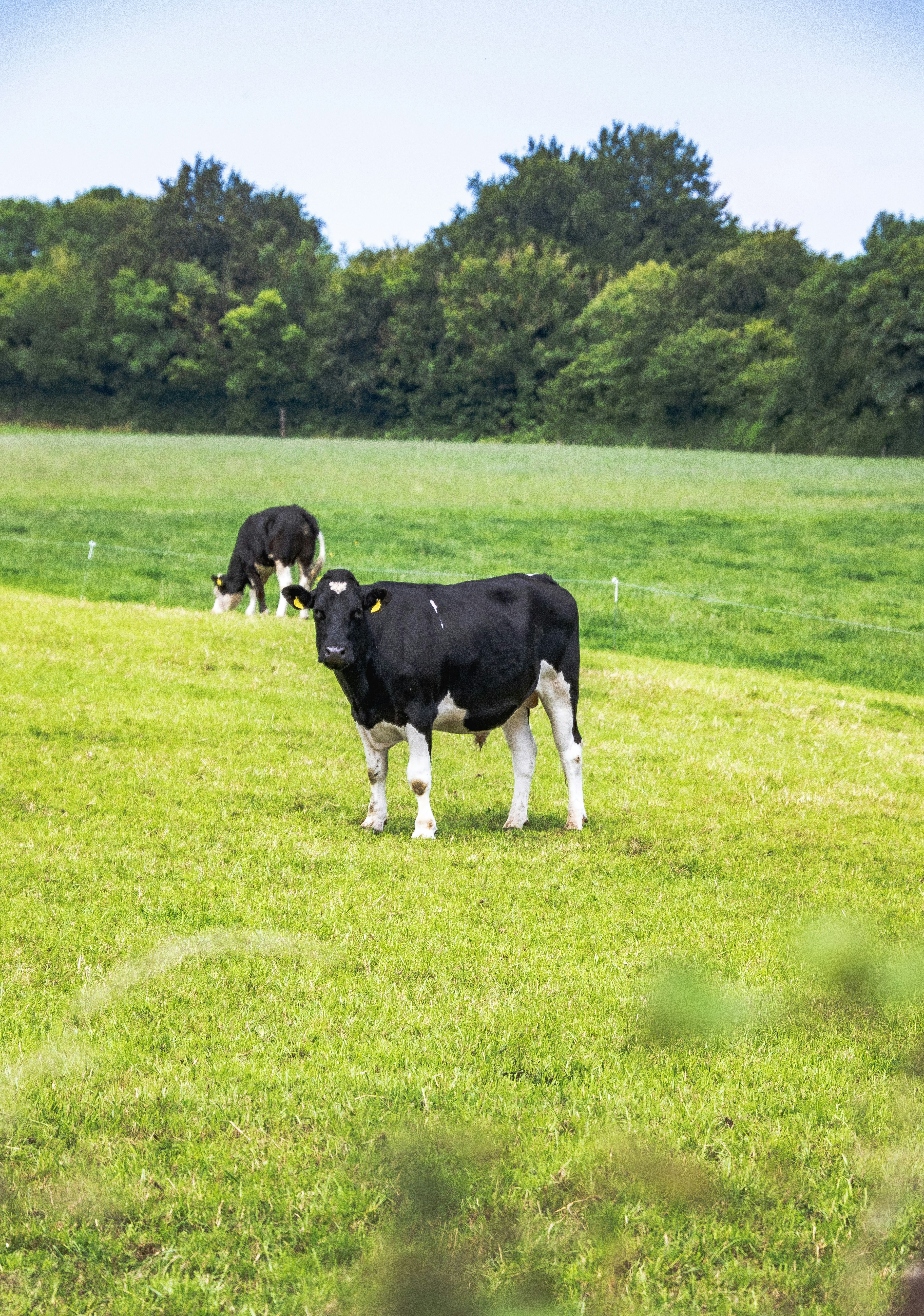 Photo by starkie_pics