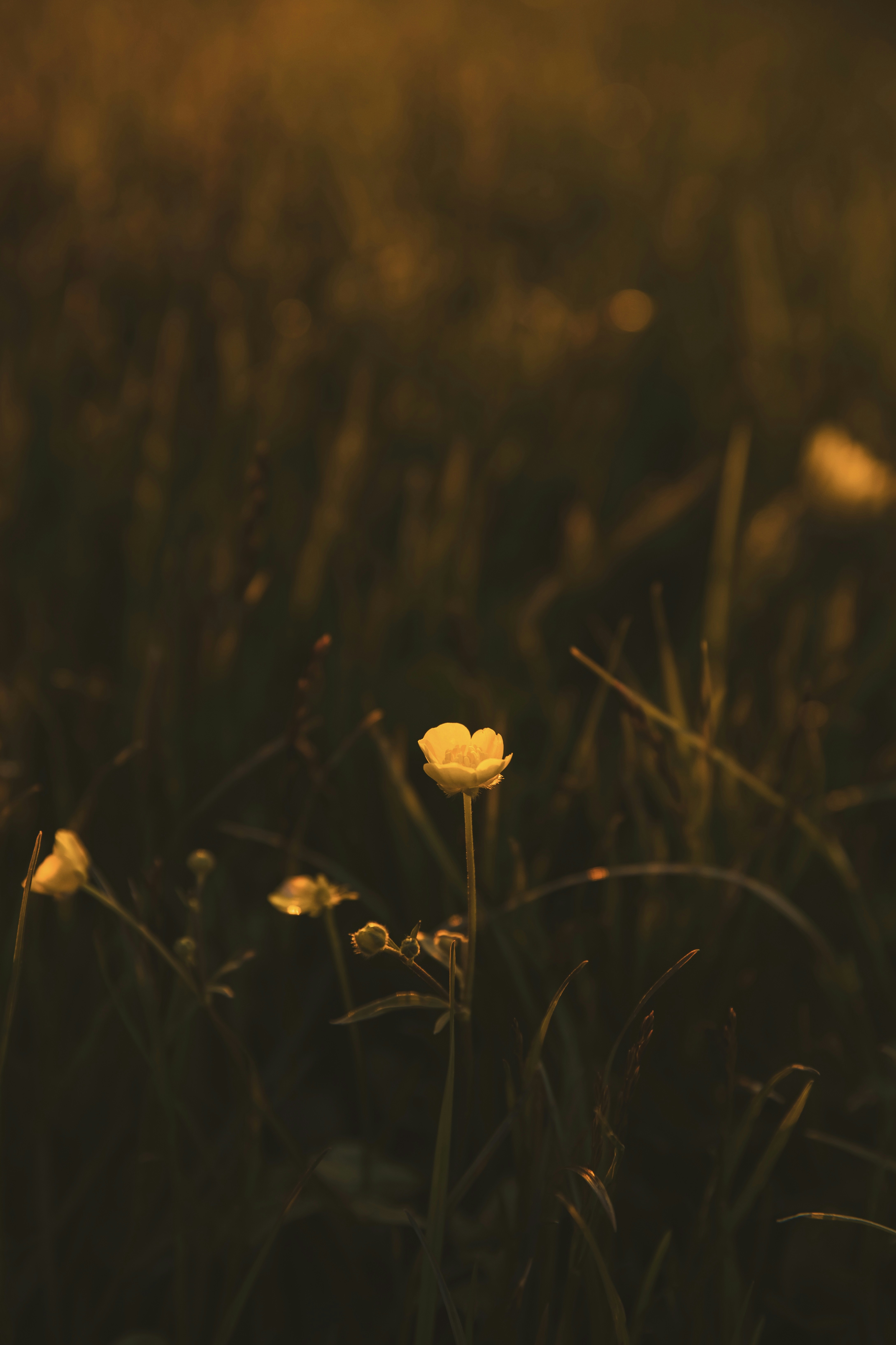 Photo by danakatharina