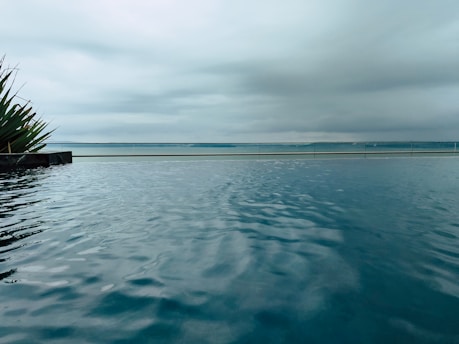 A body of water with a tree in the middle of it