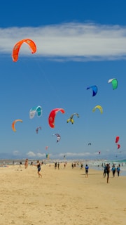 A group of people on a beach flying kites