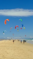 A group of people on a beach flying kites