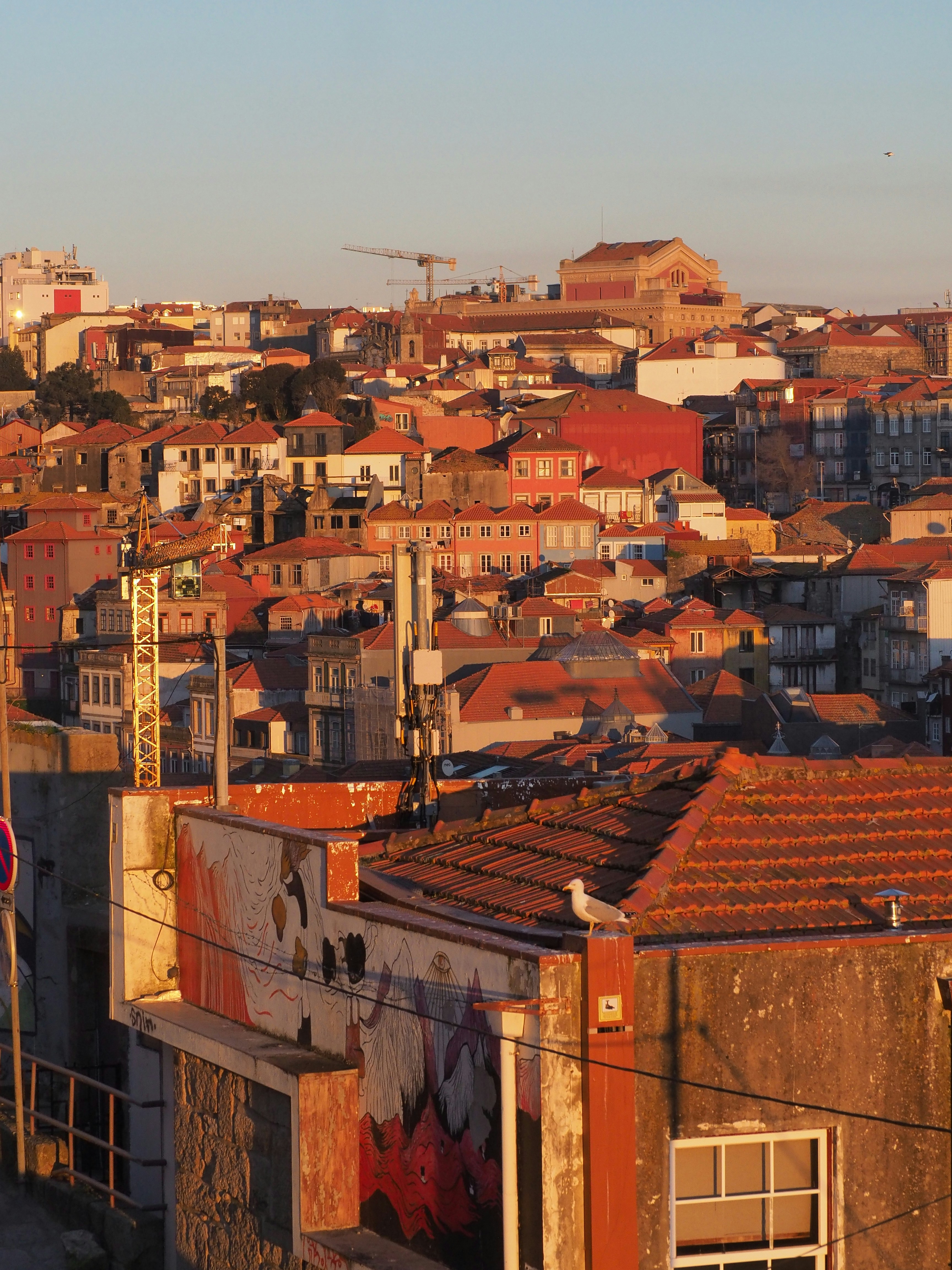 Photo by rockwell_branding_agency