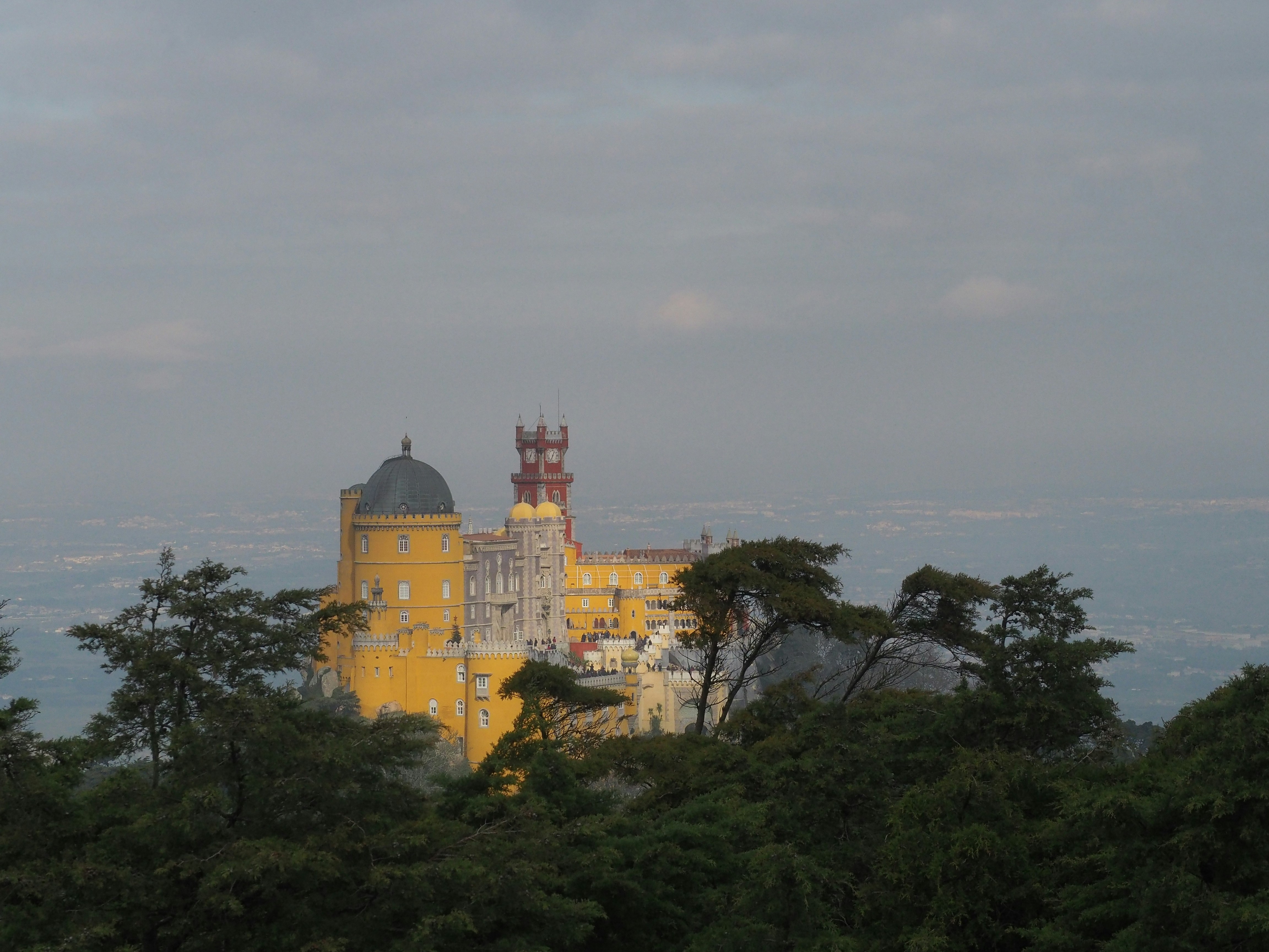 Un gran edificio amarillo sentado en medio de un bosque