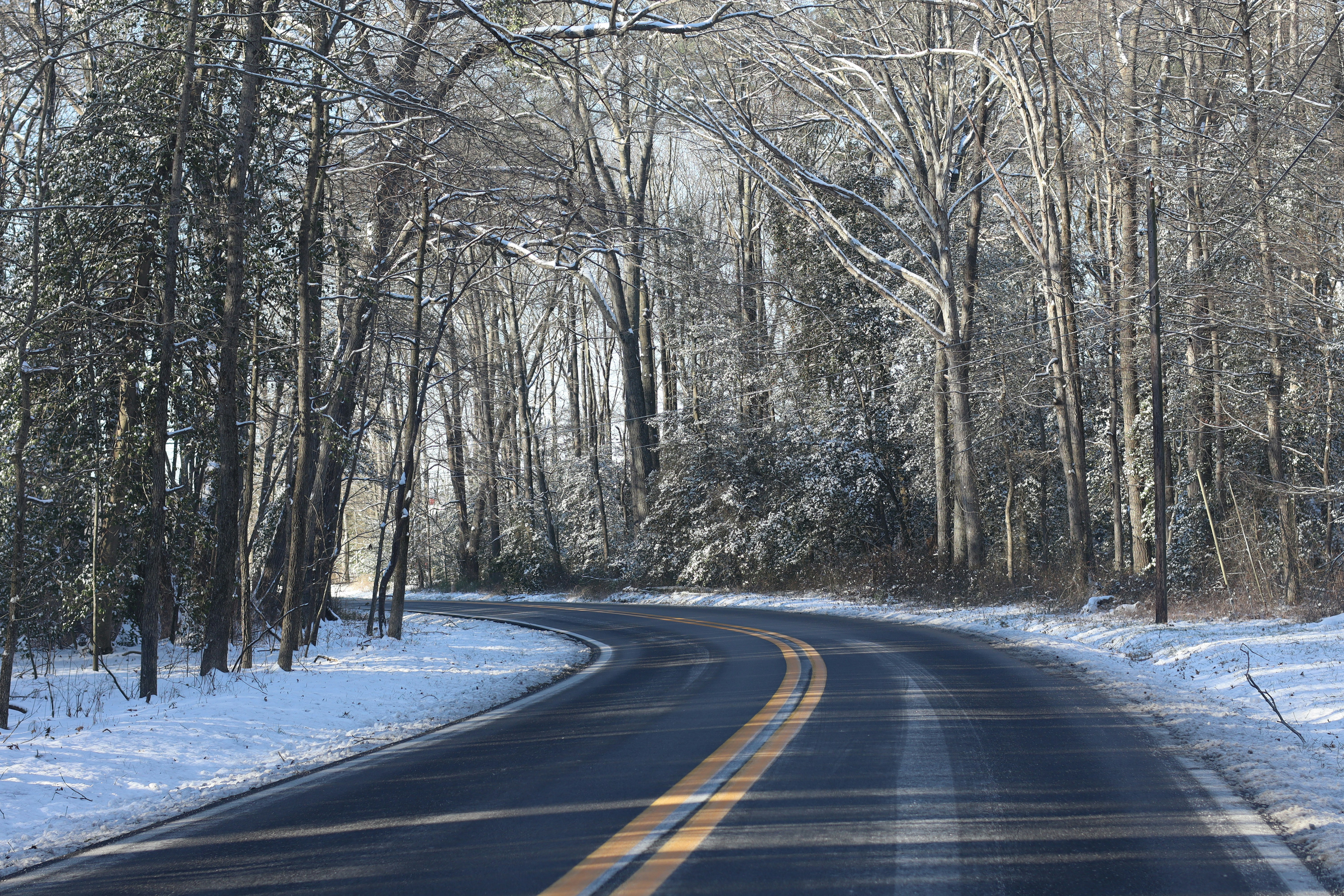 Photo by punkkitty_designs