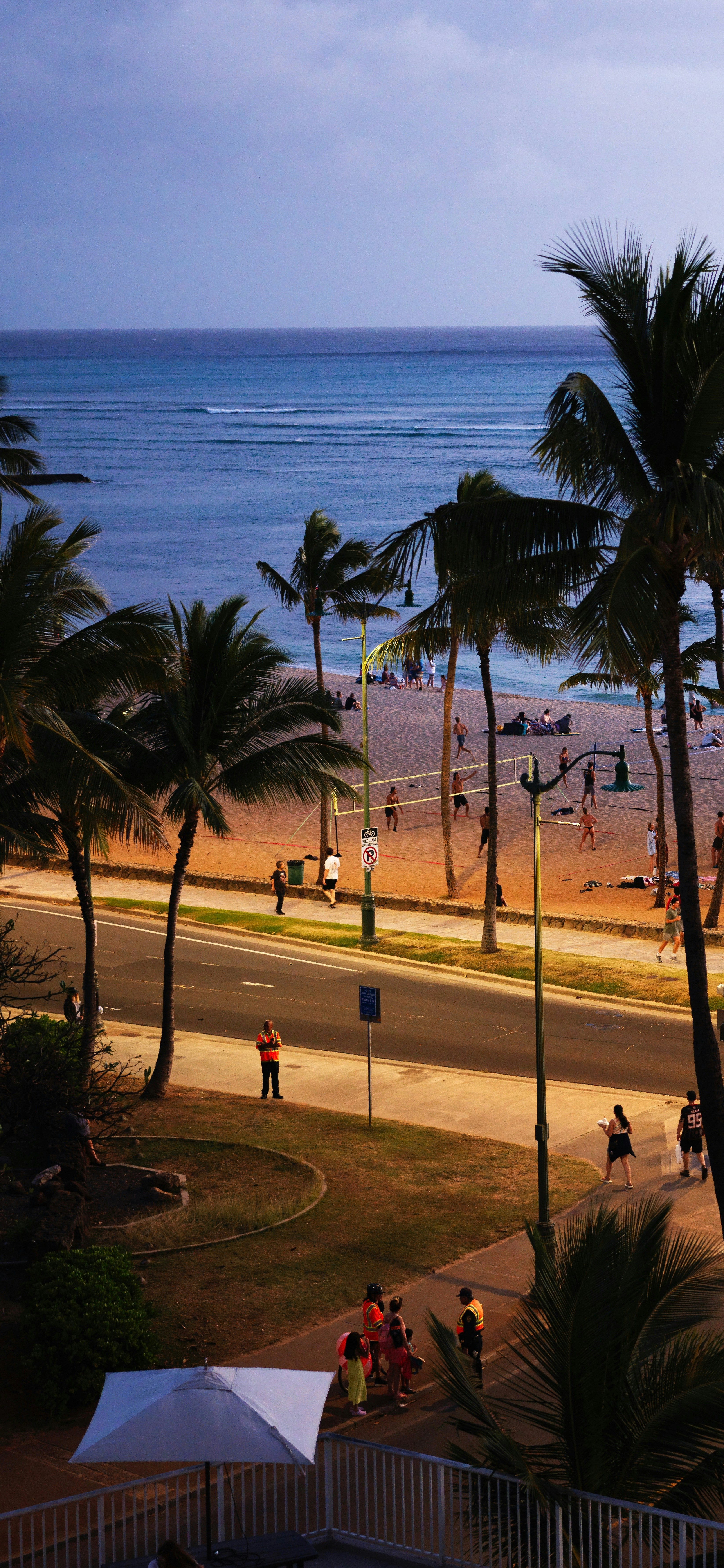 A view of a beach with palm trees