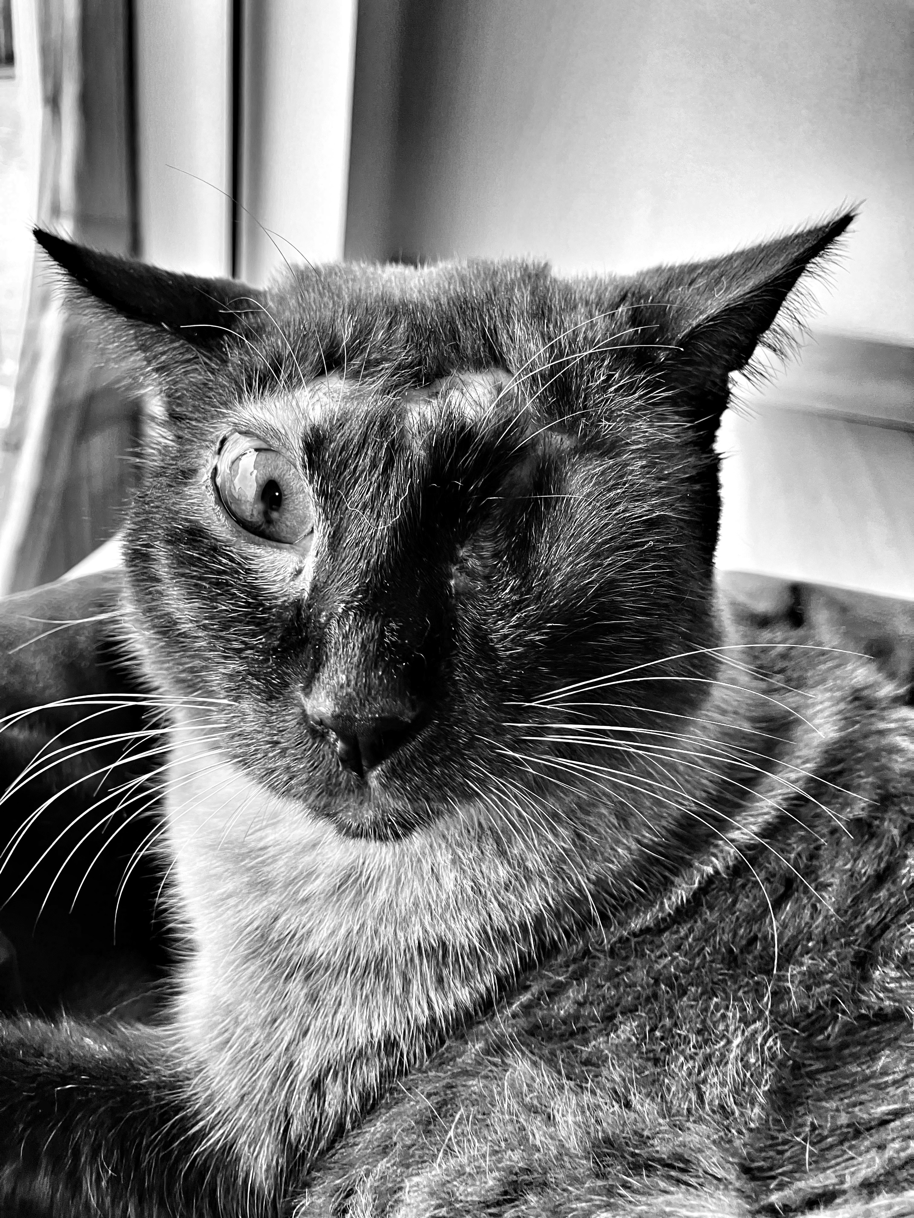 Photo by renatobarreiros