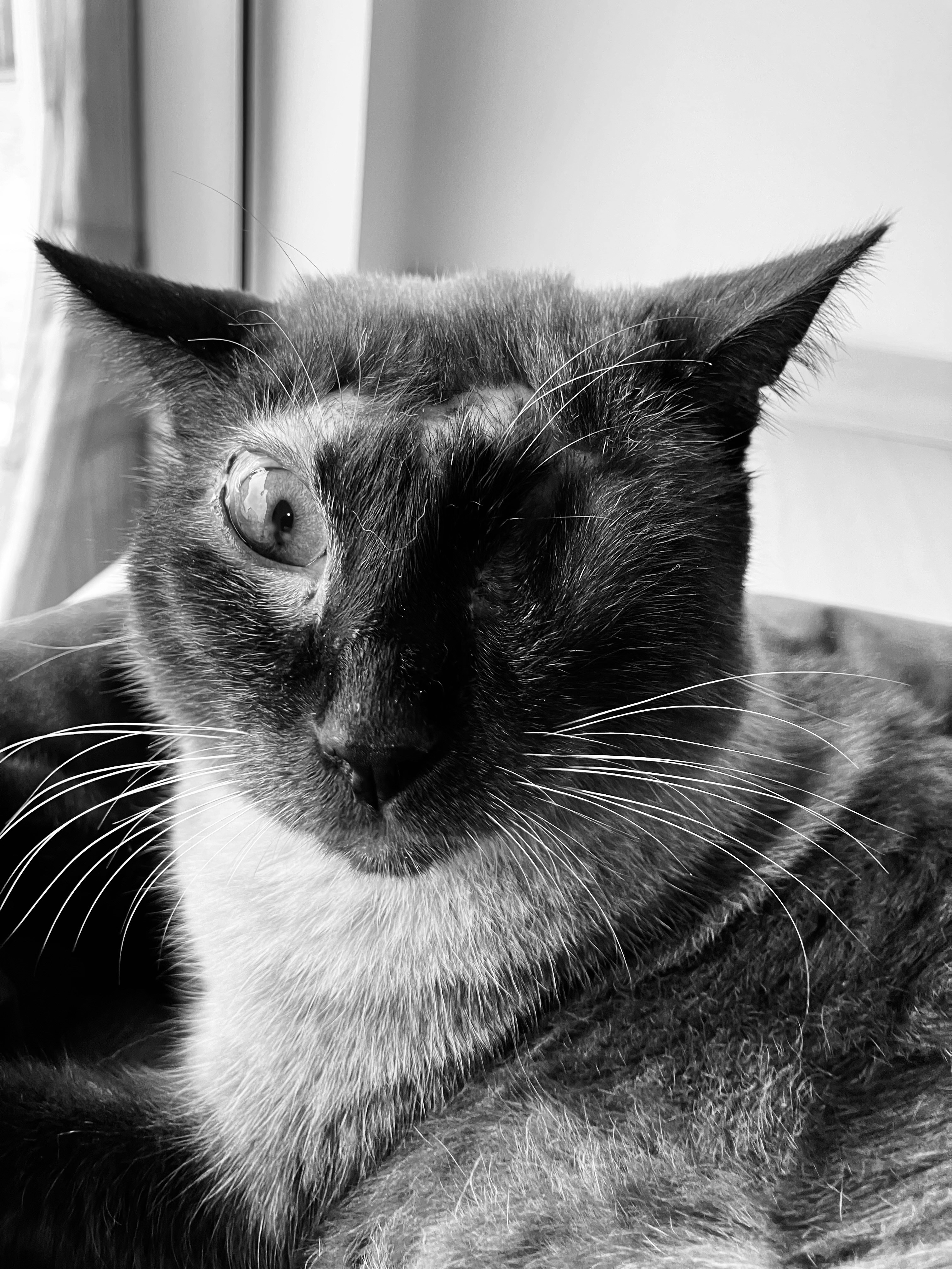 Photo by renatobarreiros