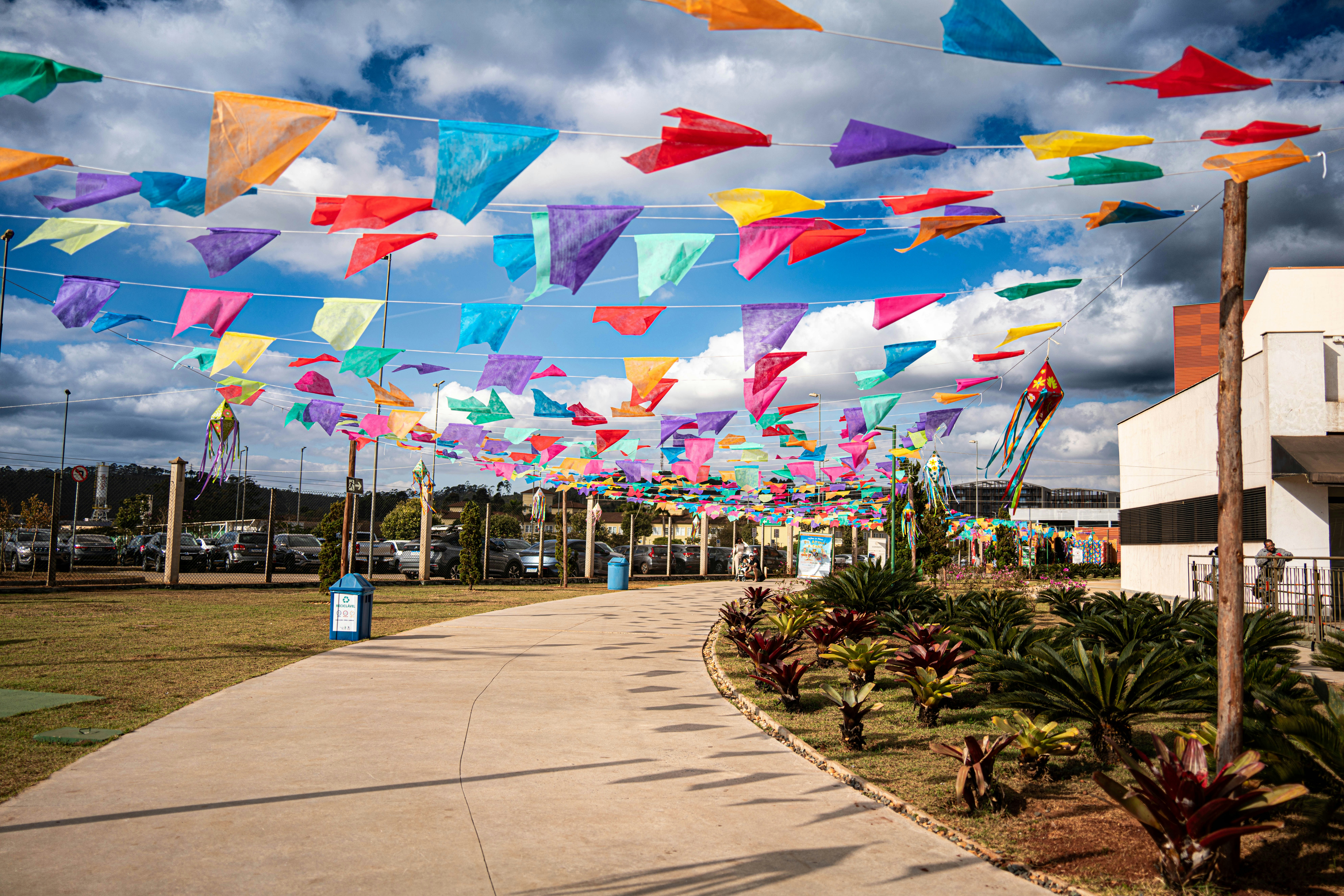 A bunch of kites are flying in the air