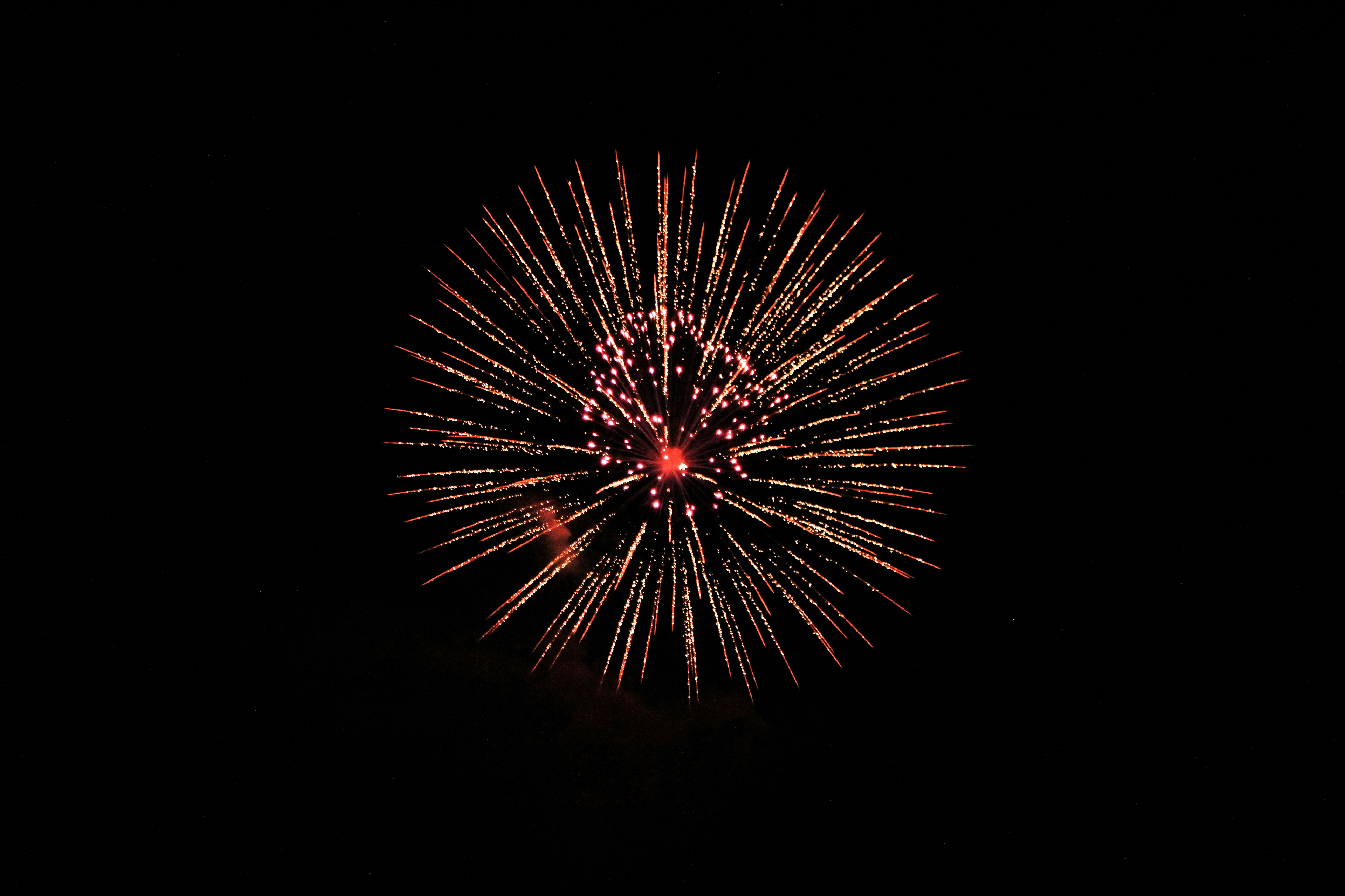 Photo by elijahaustin