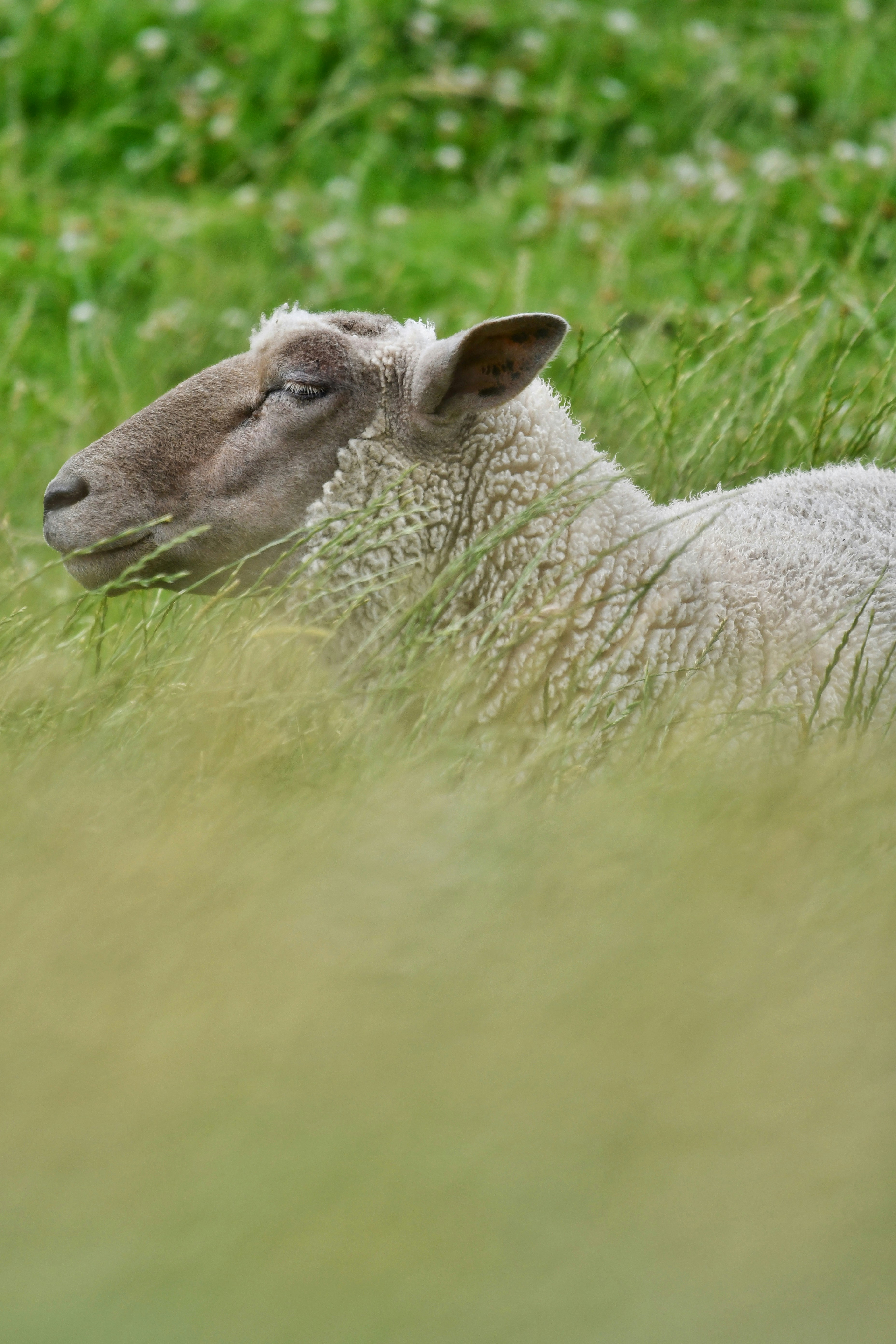 Photo by pedrino5_official